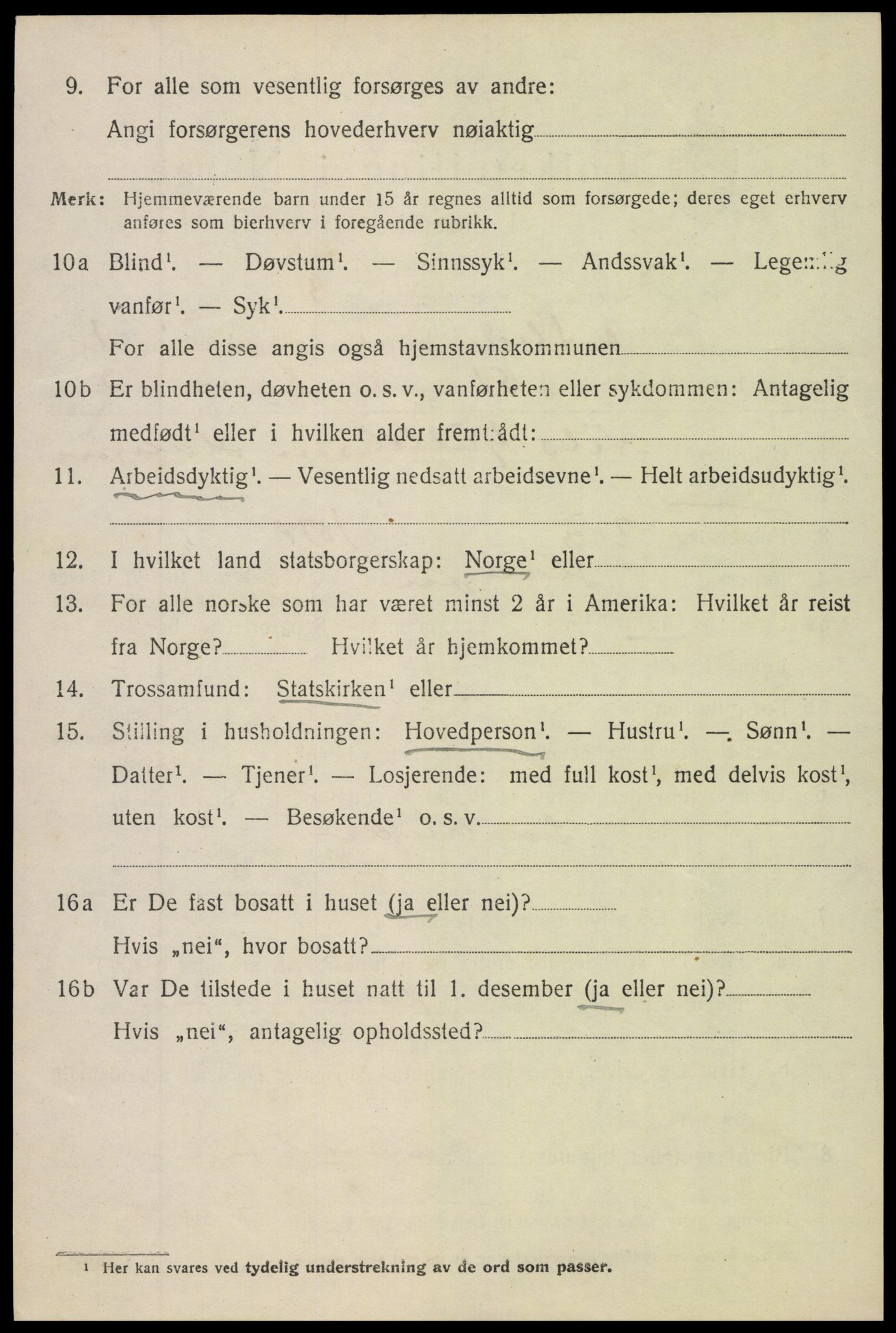 SAH, Folketelling 1920 for 0543 Vestre Slidre herred, 1920, s. 1543