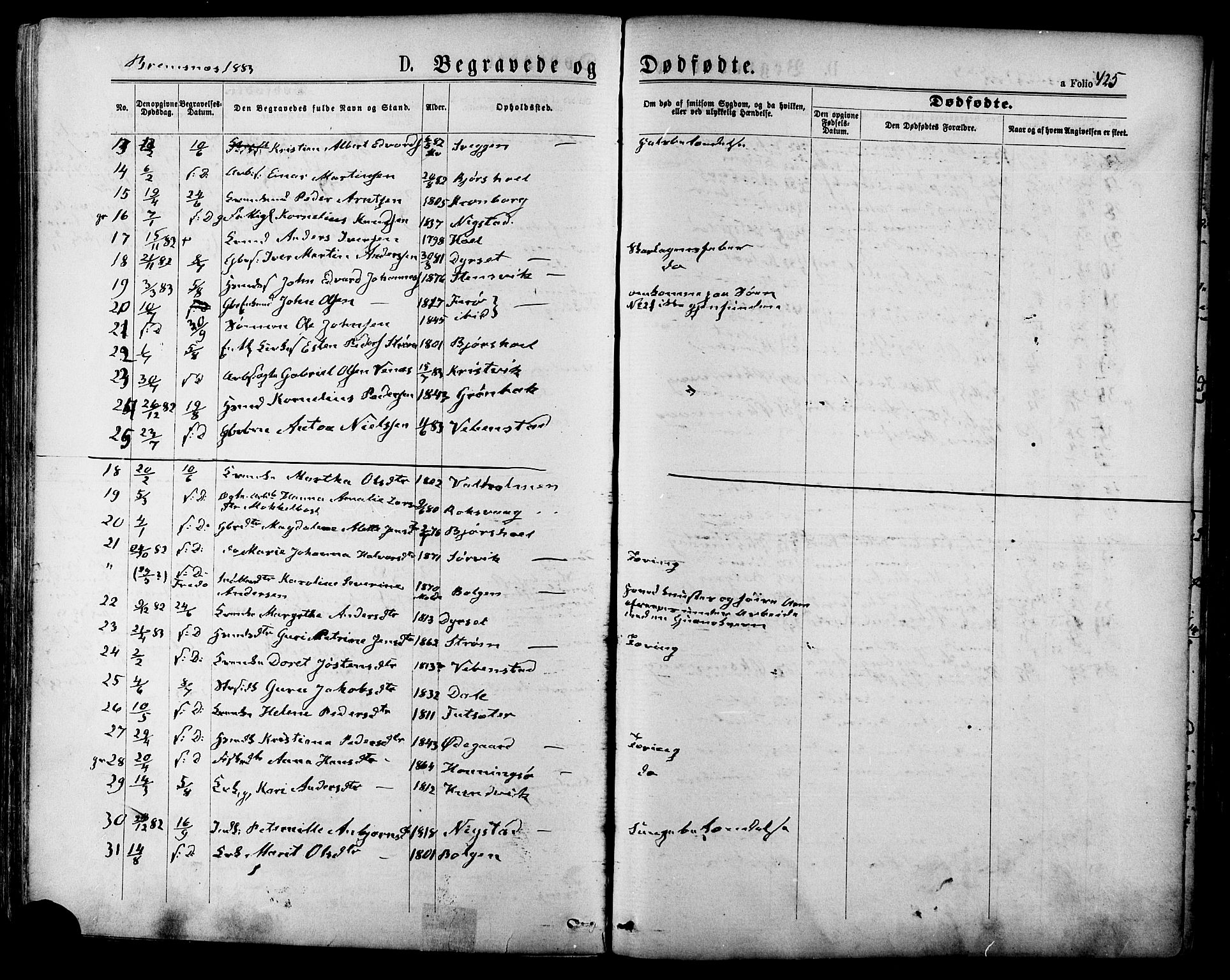 Ministerialprotokoller, klokkerbøker og fødselsregistre - Møre og Romsdal, AV/SAT-A-1454/568/L0806: Ministerialbok nr. 568A12 /3, 1878-1884, s. 425