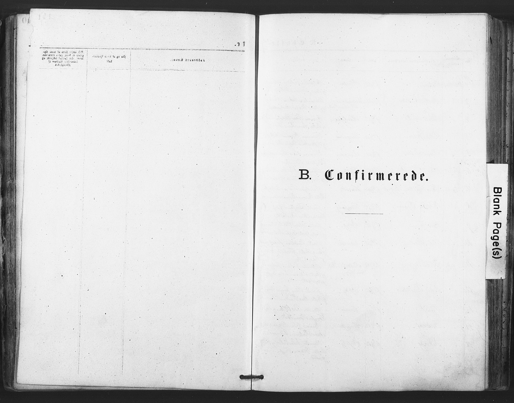 Tjølling kirkebøker, SAKO/A-60/F/Fa/L0008: Ministerialbok nr. 8, 1877-1886