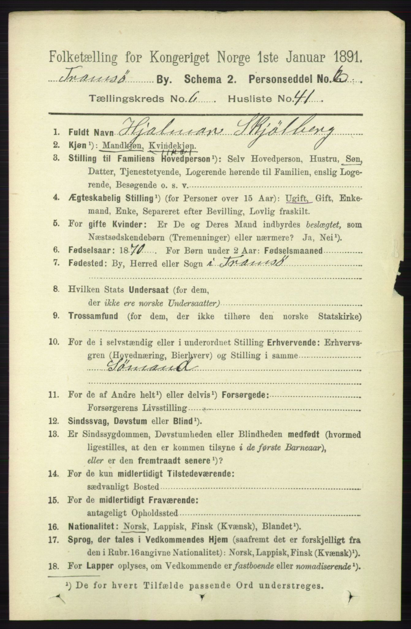 RA, Folketelling 1891 for 1902 Tromsø kjøpstad, 1891, s. 6086