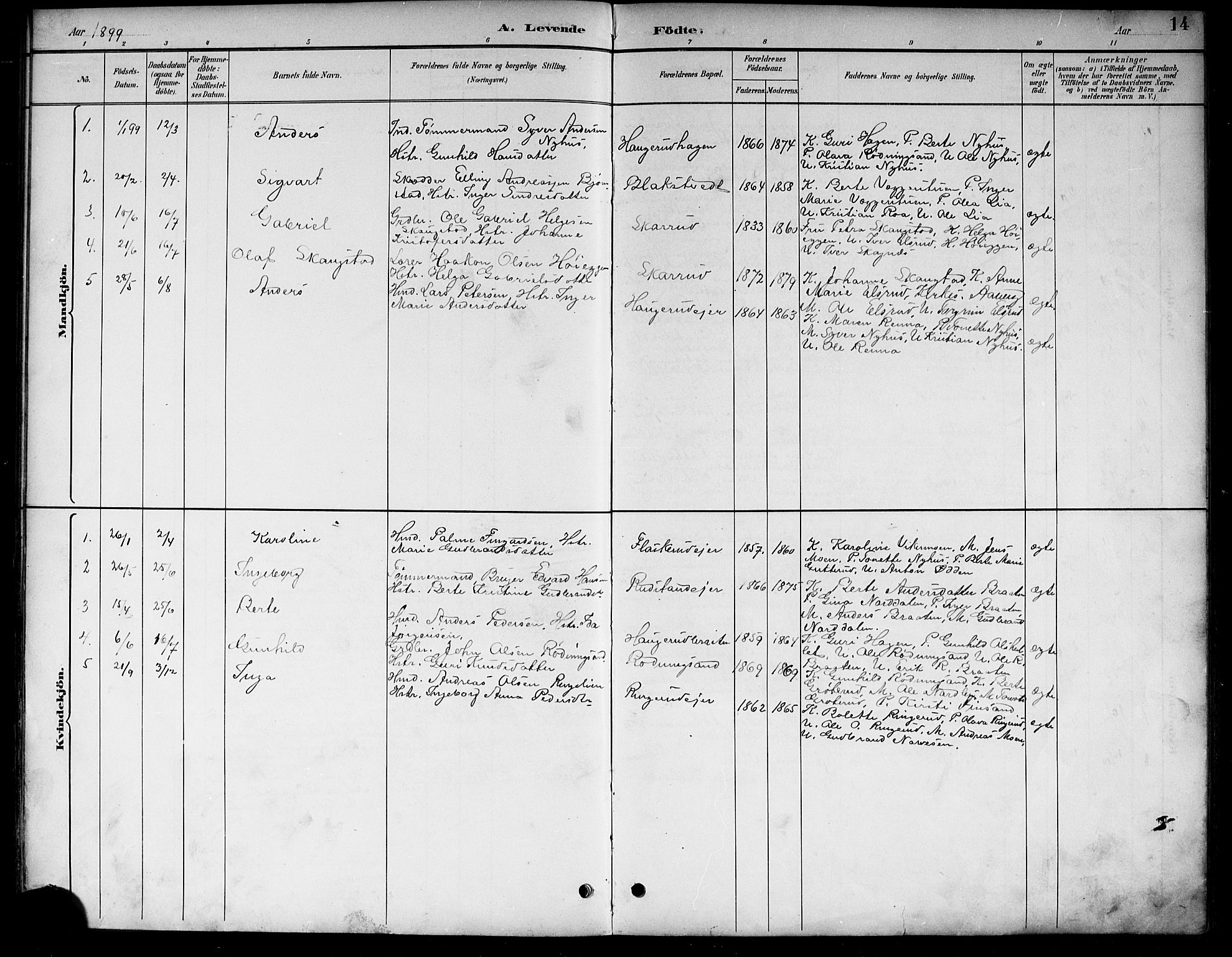 Ådal kirkebøker, AV/SAKO-A-248/G/Ga/L0004: Klokkerbok nr.  I 4, 1891-1920, s. 14