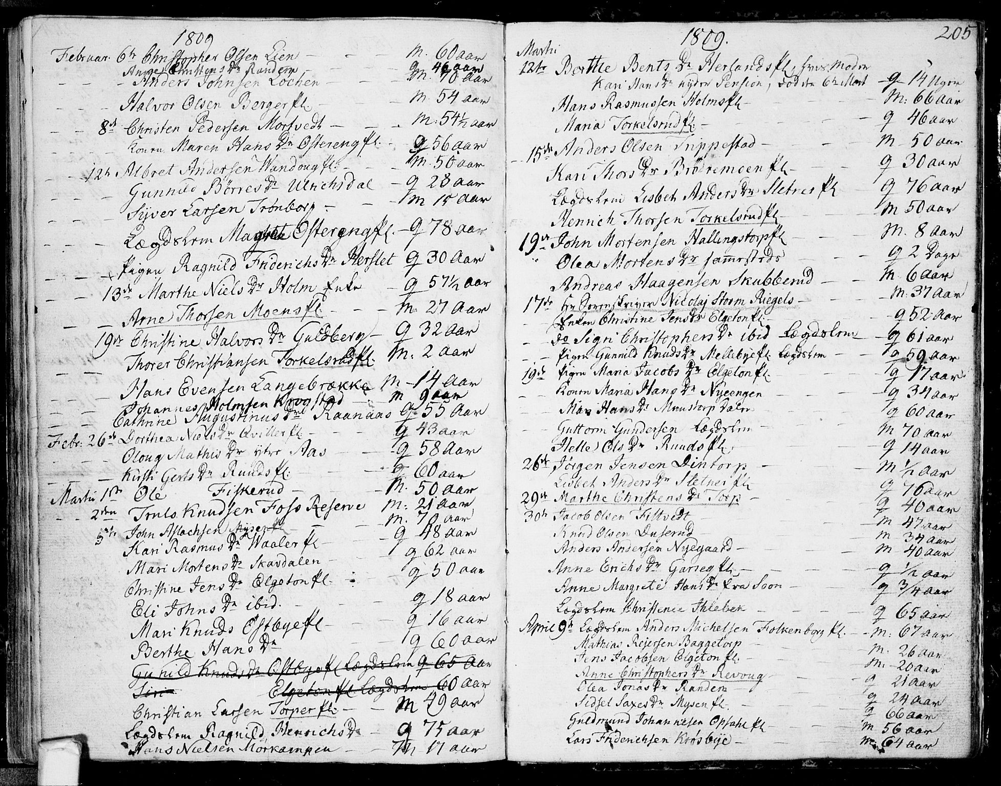 Eidsberg prestekontor Kirkebøker, AV/SAO-A-10905/F/Fa/L0006: Ministerialbok nr. I 6, 1807-1814, s. 205