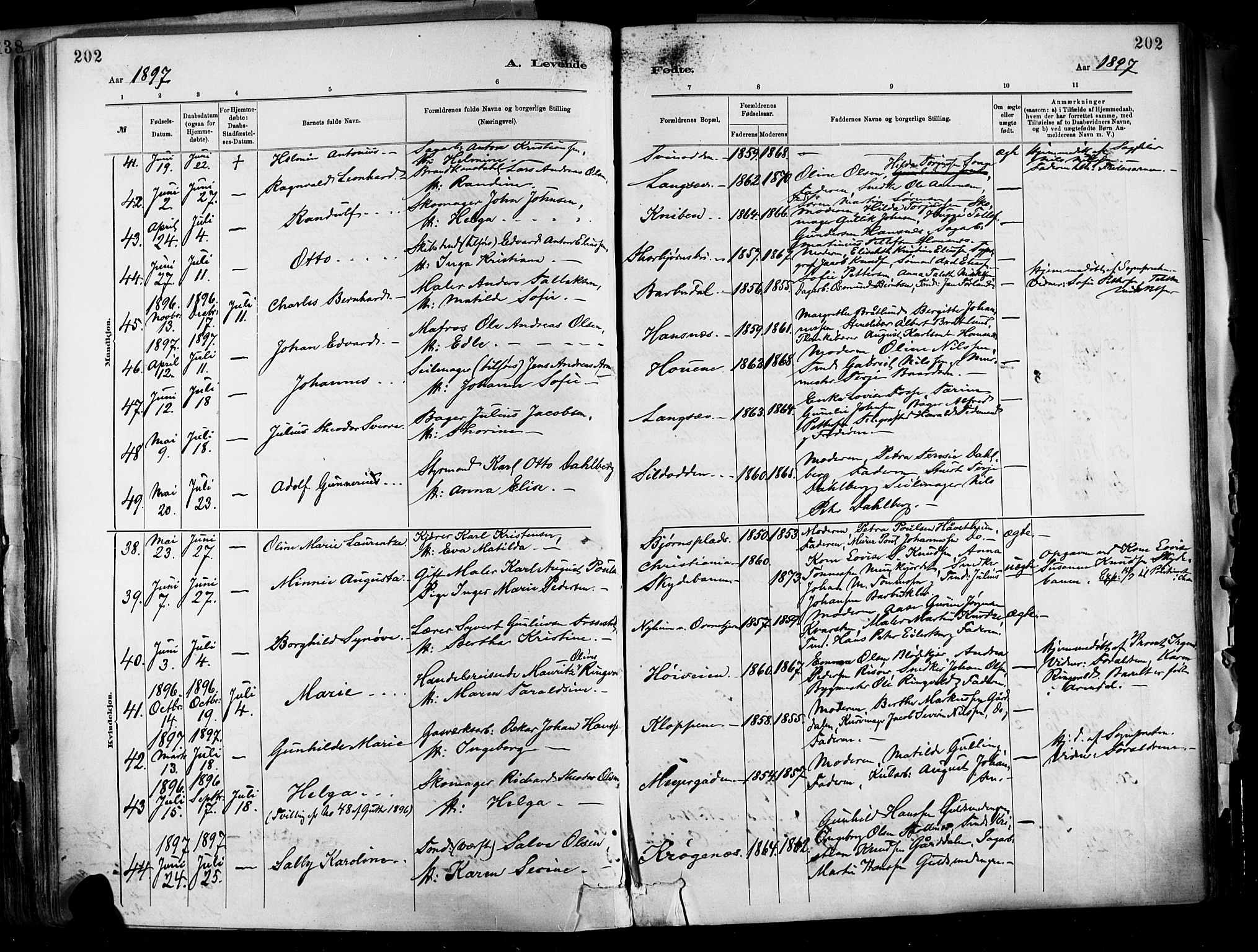 Barbu sokneprestkontor, AV/SAK-1111-0003/F/Fa/L0002: Ministerialbok nr. A 2, 1883-1898, s. 202