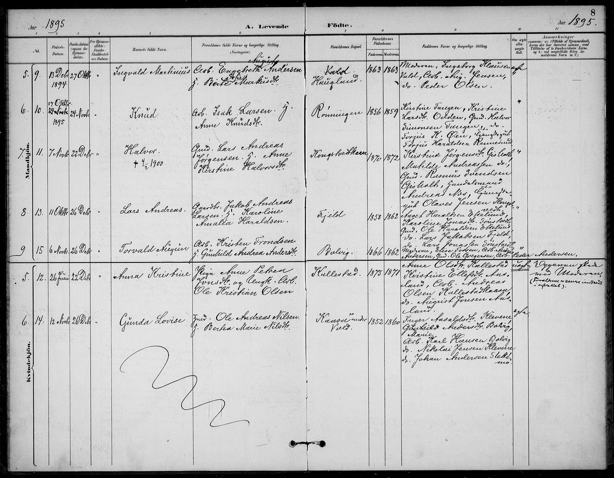 Solum kirkebøker, AV/SAKO-A-306/F/Fc/L0002: Ministerialbok nr. III 2, 1892-1906, s. 8