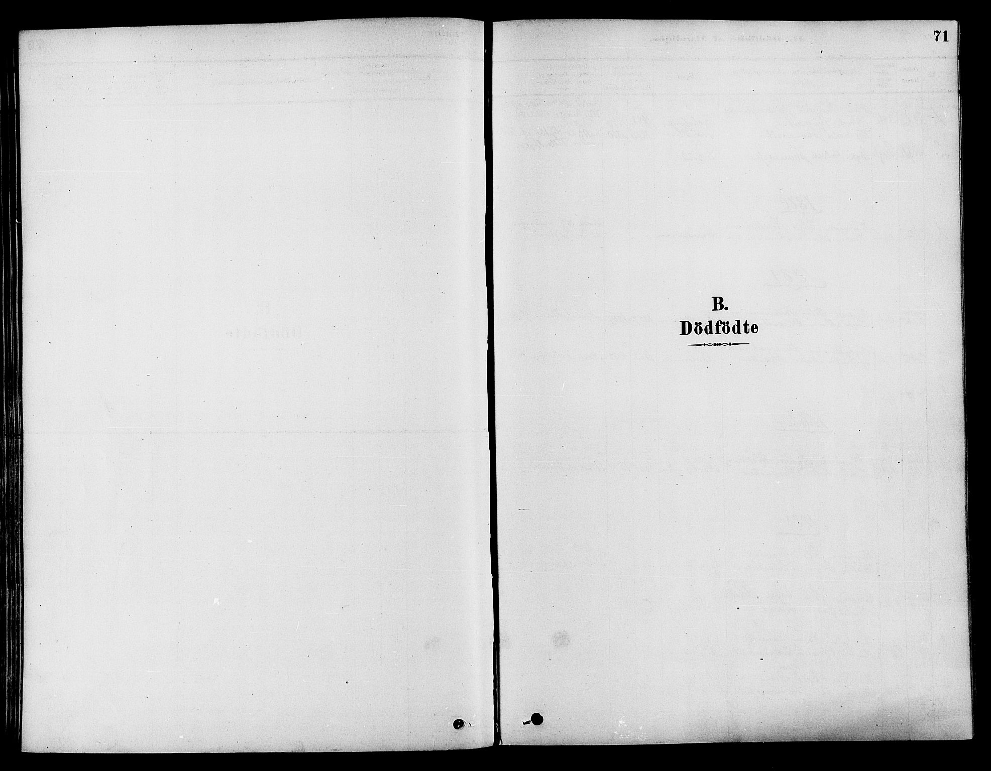Søndre Land prestekontor, AV/SAH-PREST-122/K/L0002: Ministerialbok nr. 2, 1878-1894, s. 71