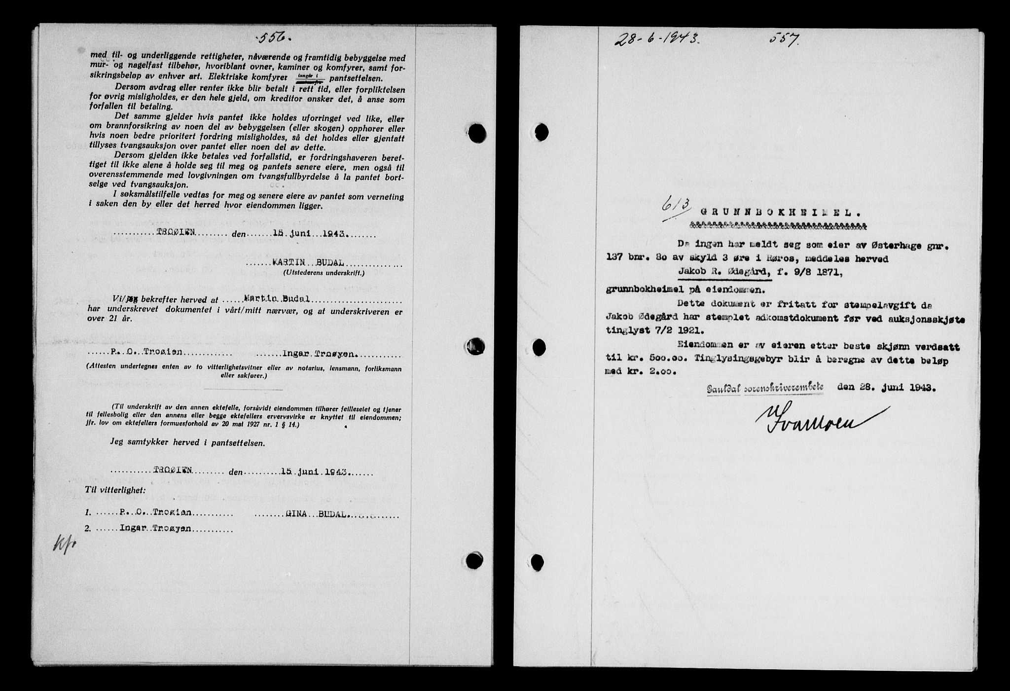 Gauldal sorenskriveri, SAT/A-0014/1/2/2C/L0056: Pantebok nr. 61, 1942-1943, Dagboknr: 613/1943