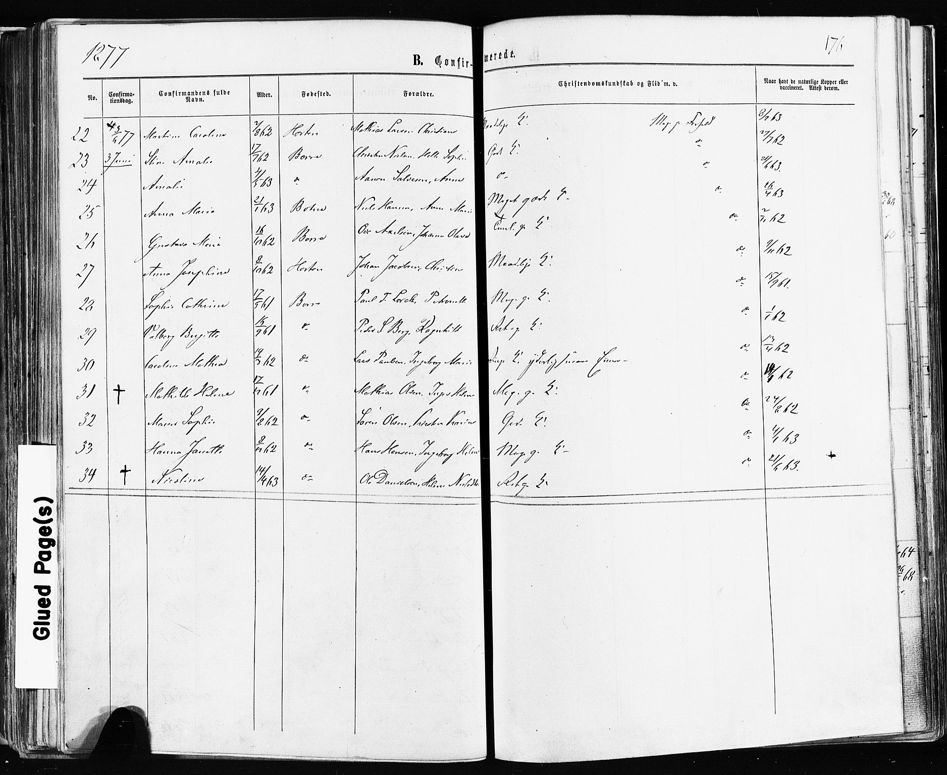 Borre kirkebøker, SAKO/A-338/F/Fa/L0008: Ministerialbok nr. I 8, 1868-1877, s. 176