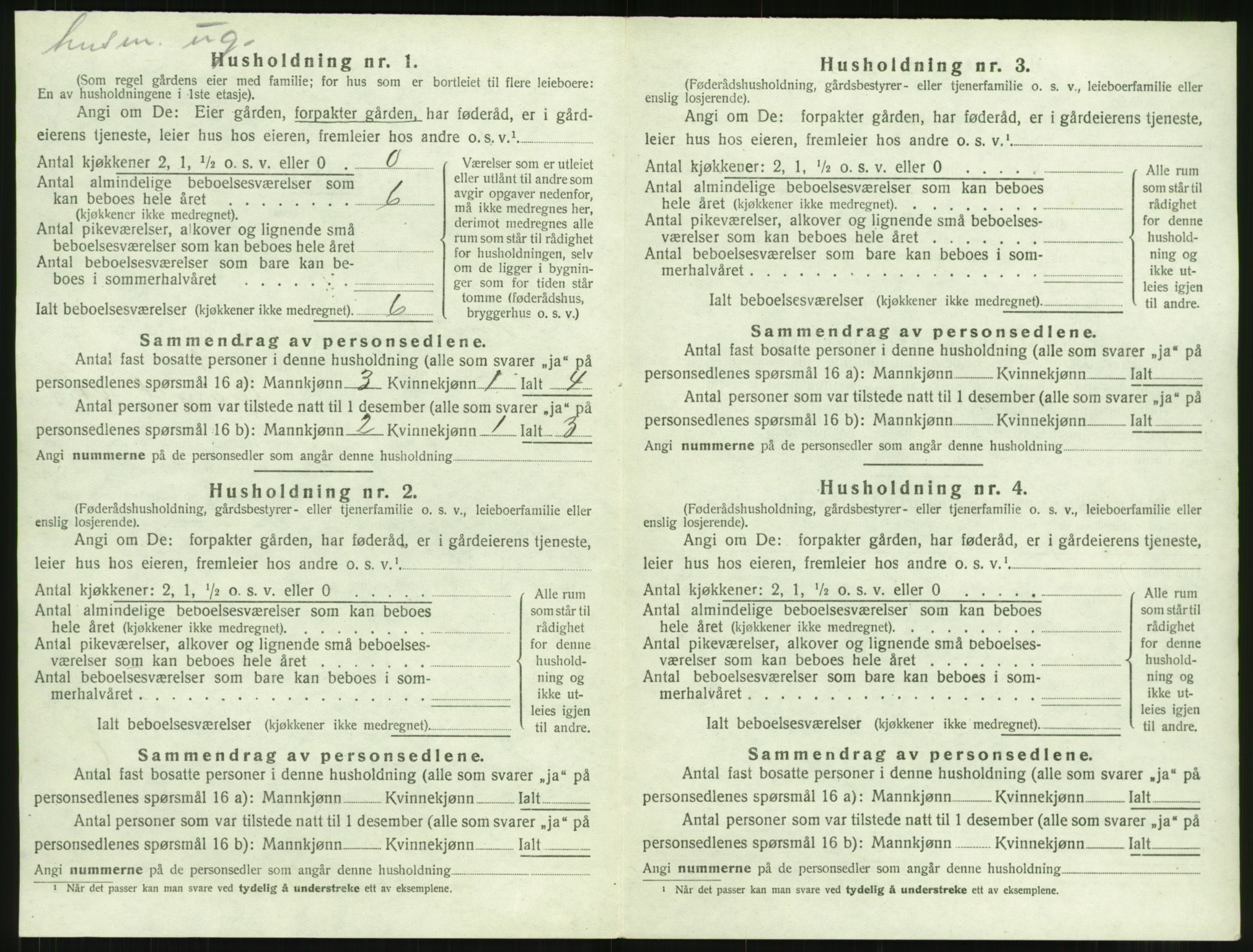 SAT, Folketelling 1920 for 1567 Rindal herred, 1920, s. 541