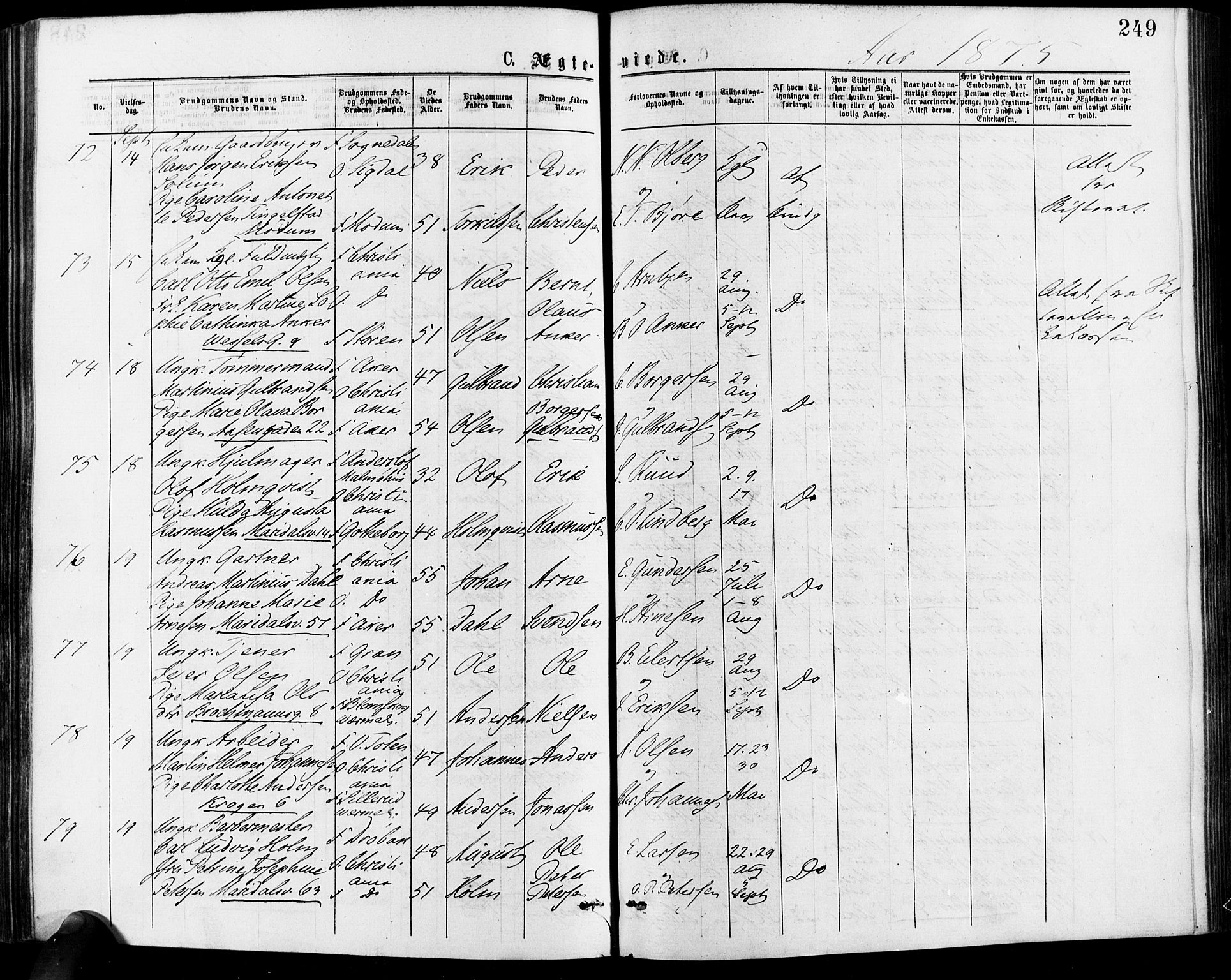 Gamle Aker prestekontor Kirkebøker, AV/SAO-A-10617a/F/L0005: Ministerialbok nr. 5, 1873-1881, s. 249