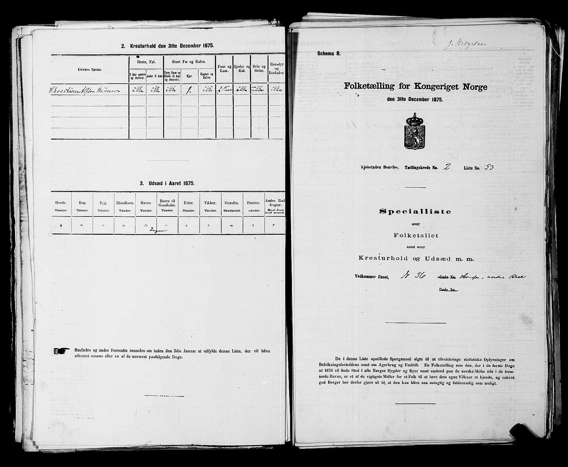 SAKO, Folketelling 1875 for 0601B Norderhov prestegjeld, Hønefoss kjøpstad, 1875, s. 132