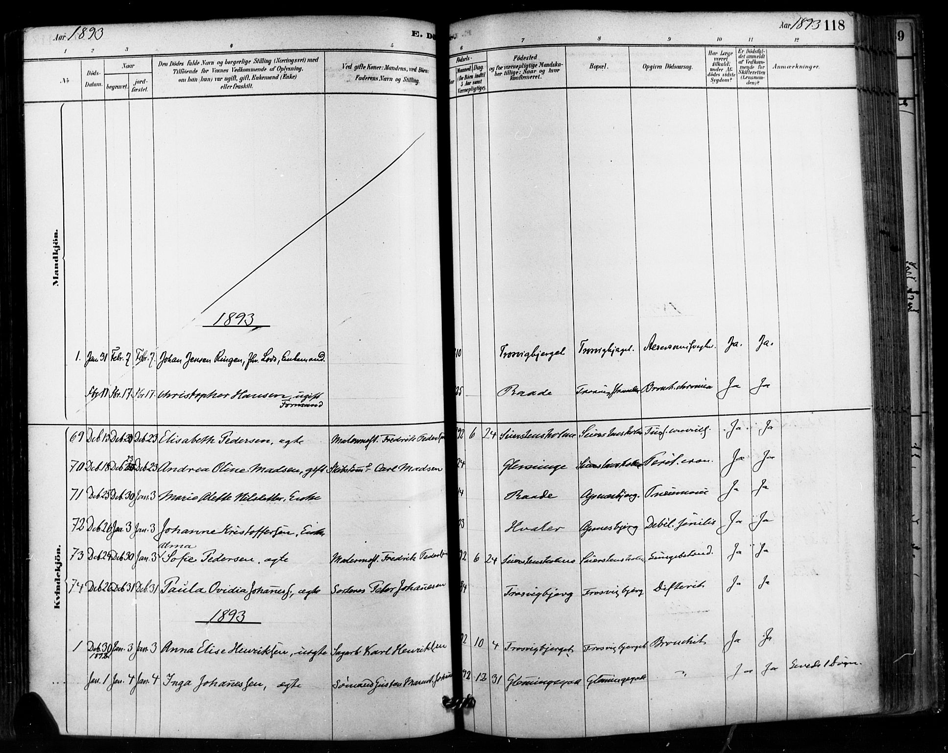 Fredrikstad domkirkes prestekontor Kirkebøker, AV/SAO-A-10906/F/Fa/L0003: Ministerialbok nr. 3, 1878-1904, s. 118