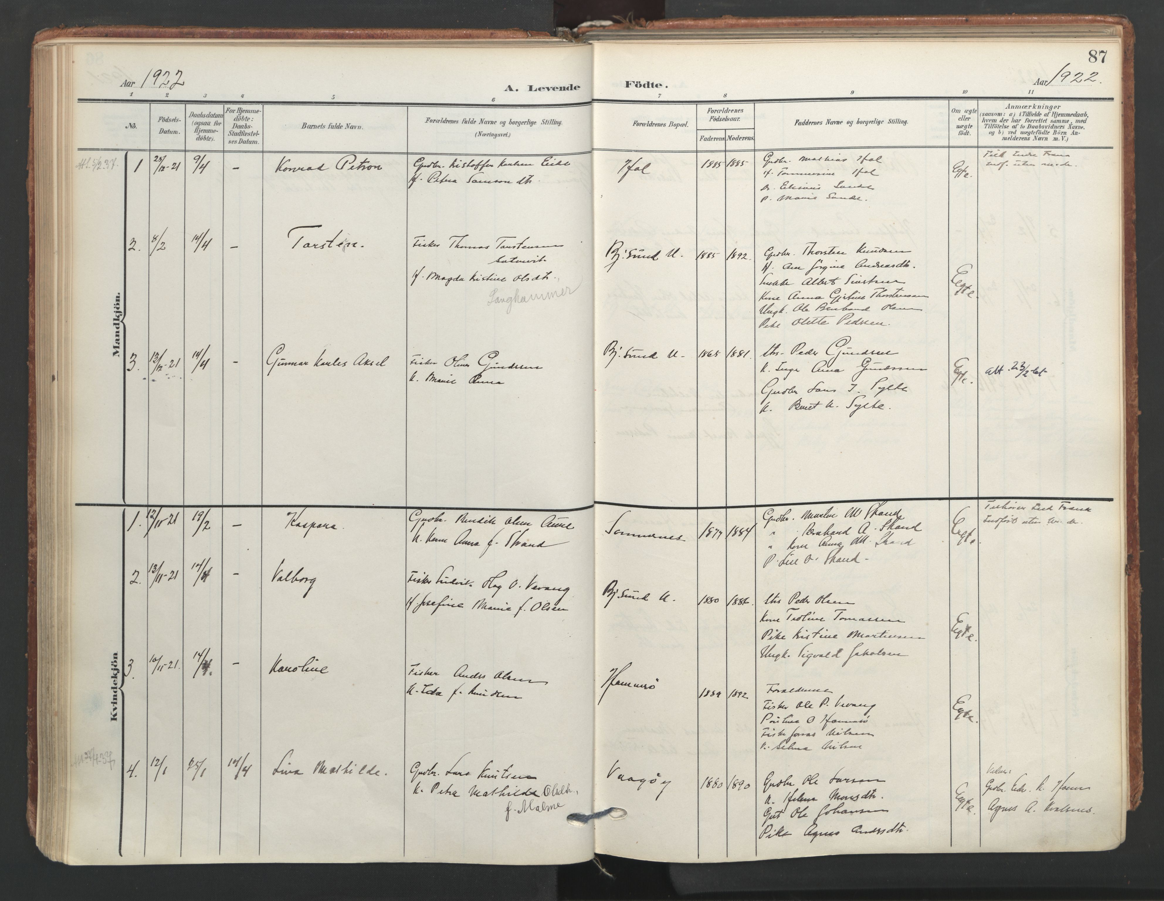 Ministerialprotokoller, klokkerbøker og fødselsregistre - Møre og Romsdal, AV/SAT-A-1454/565/L0751: Ministerialbok nr. 565A05, 1905-1979, s. 87