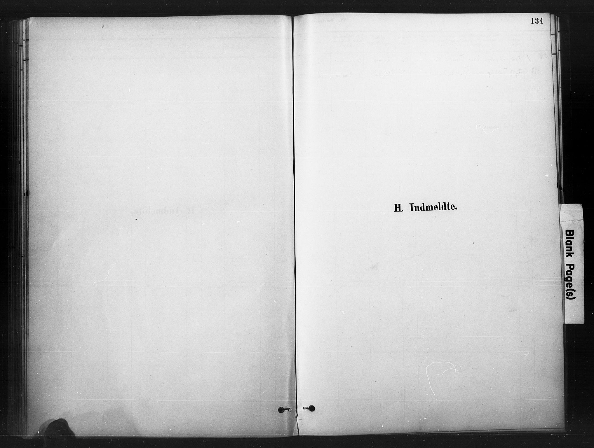 Nord-Audnedal sokneprestkontor, AV/SAK-1111-0032/F/Fa/Faa/L0003: Ministerialbok nr. A 3, 1882-1900, s. 134