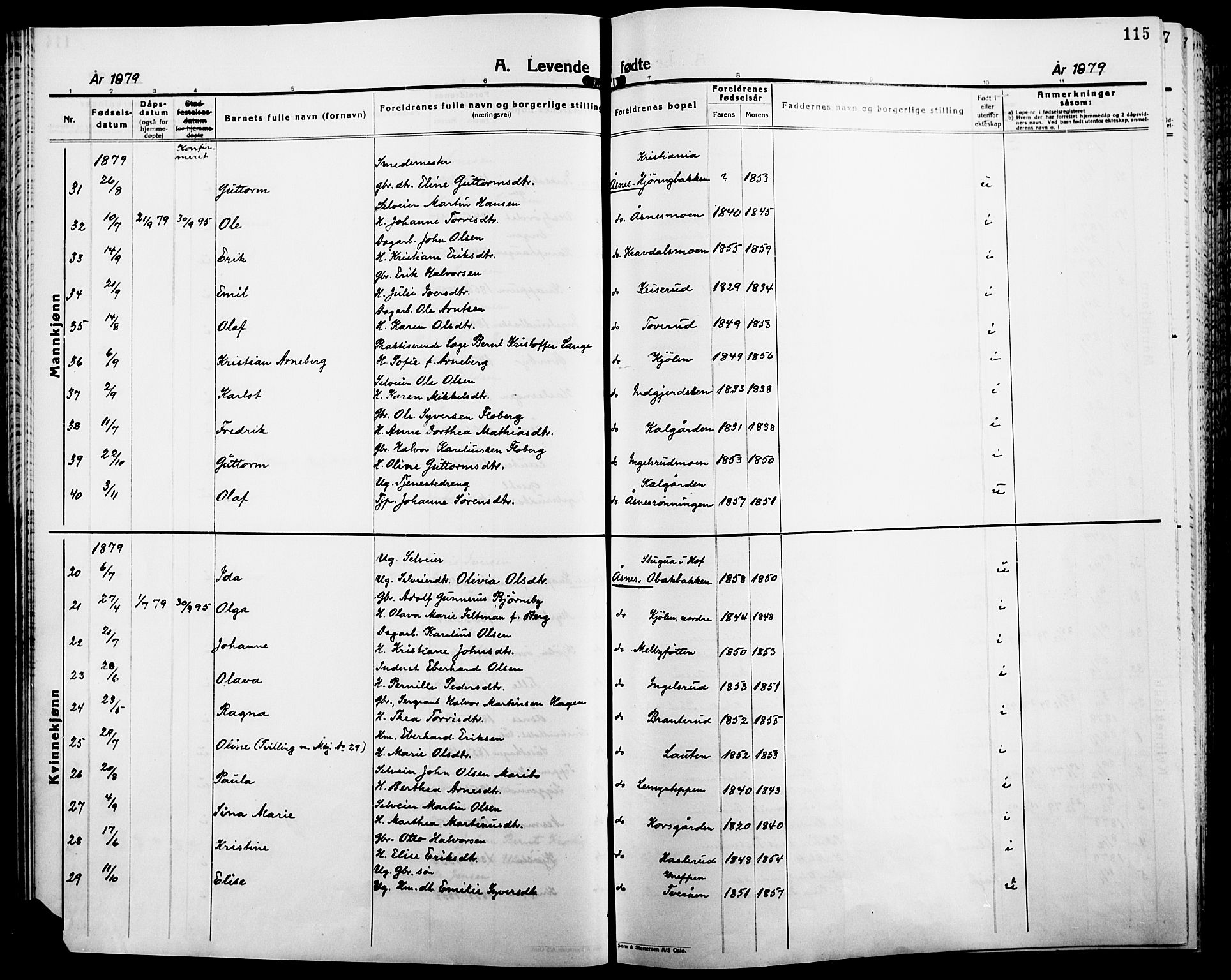 Åsnes prestekontor, SAH/PREST-042/H/Ha/Haa/L0000B: Ministerialbok, 1870-1889, s. 115