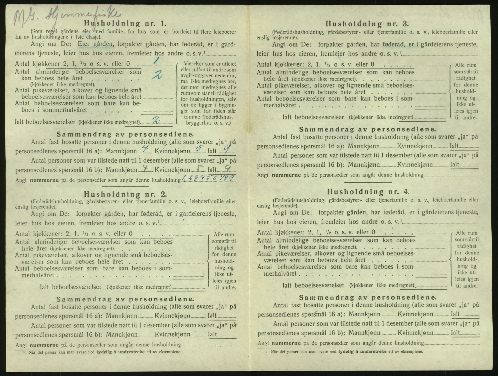 SAKO, Folketelling 1920 for 0726 Brunlanes herred, 1920, s. 1738