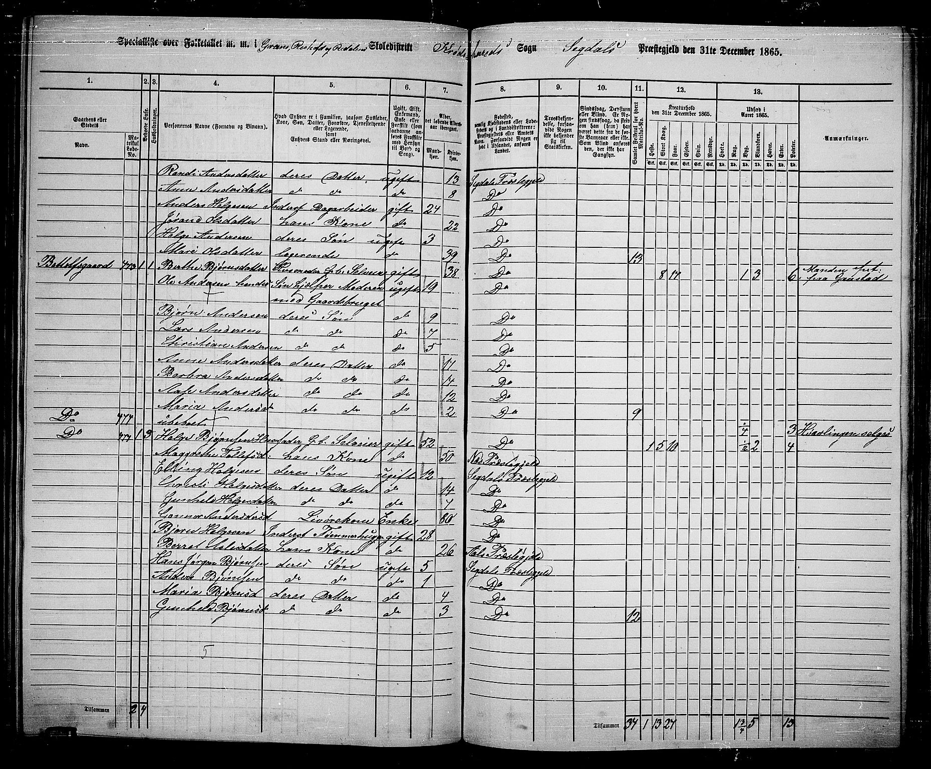 RA, Folketelling 1865 for 0621P Sigdal prestegjeld, 1865, s. 224