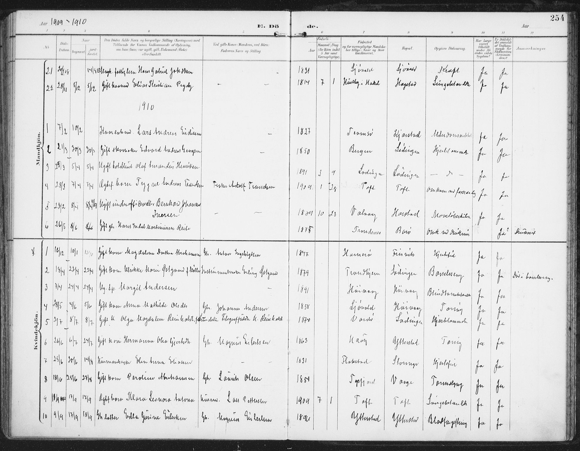 Ministerialprotokoller, klokkerbøker og fødselsregistre - Nordland, AV/SAT-A-1459/872/L1036: Ministerialbok nr. 872A11, 1897-1913, s. 254