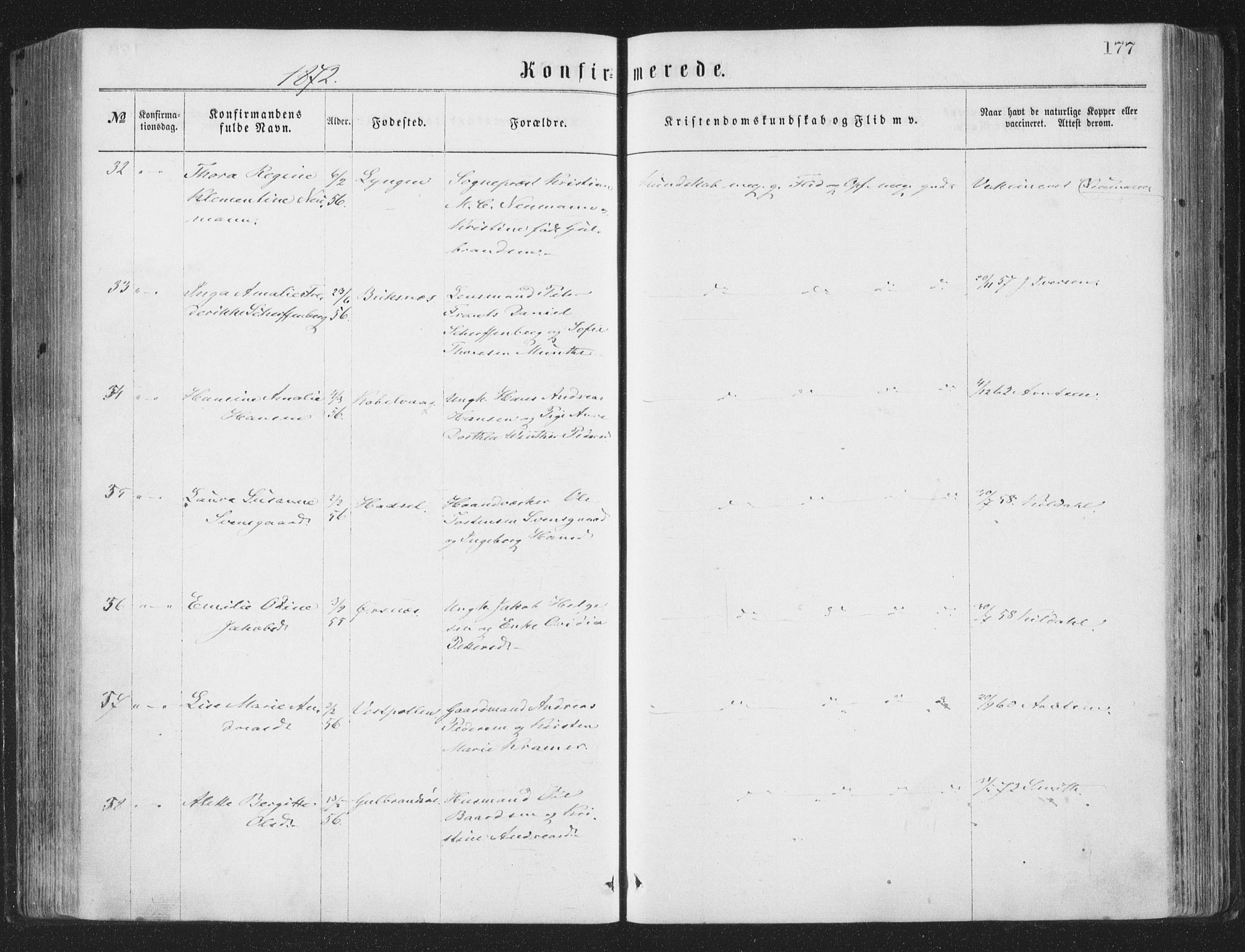 Ministerialprotokoller, klokkerbøker og fødselsregistre - Nordland, AV/SAT-A-1459/874/L1057: Ministerialbok nr. 874A01, 1866-1877, s. 177