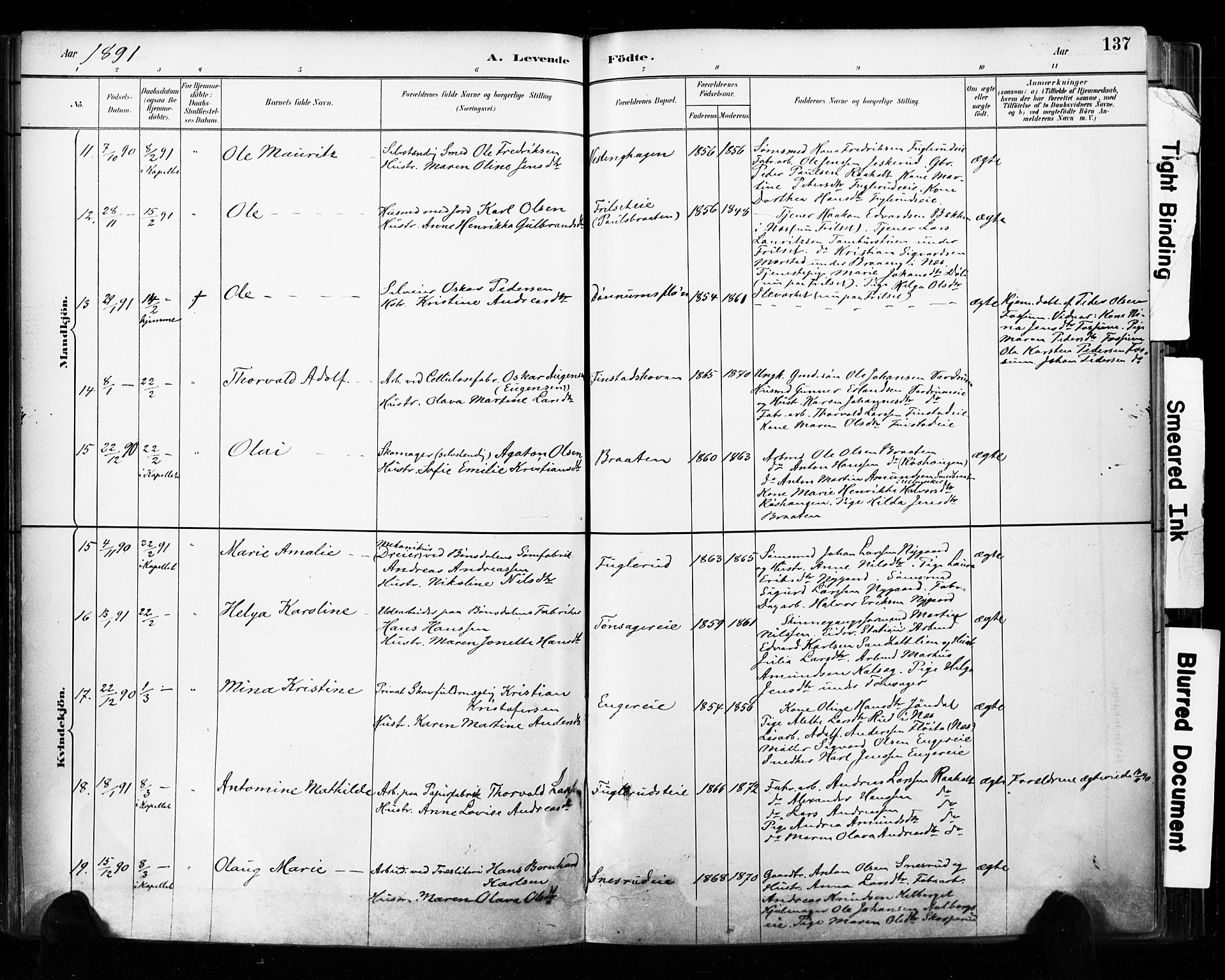 Eidsvoll prestekontor Kirkebøker, AV/SAO-A-10888/F/Fa/L0002: Ministerialbok nr. I 2, 1882-1895, s. 137