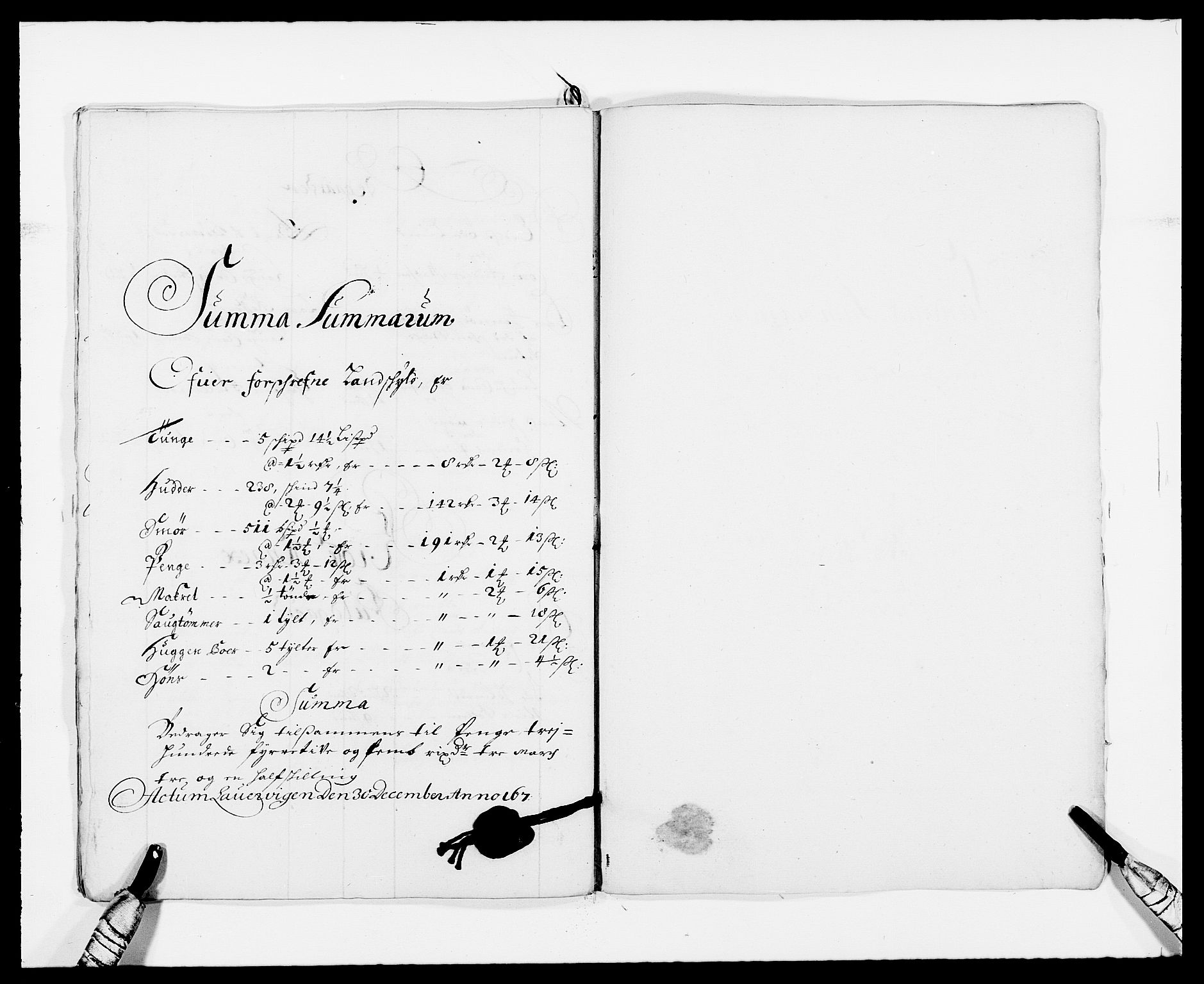Rentekammeret inntil 1814, Reviderte regnskaper, Fogderegnskap, RA/EA-4092/R33/L1966: Fogderegnskap Larvik grevskap, 1672-1674, s. 156