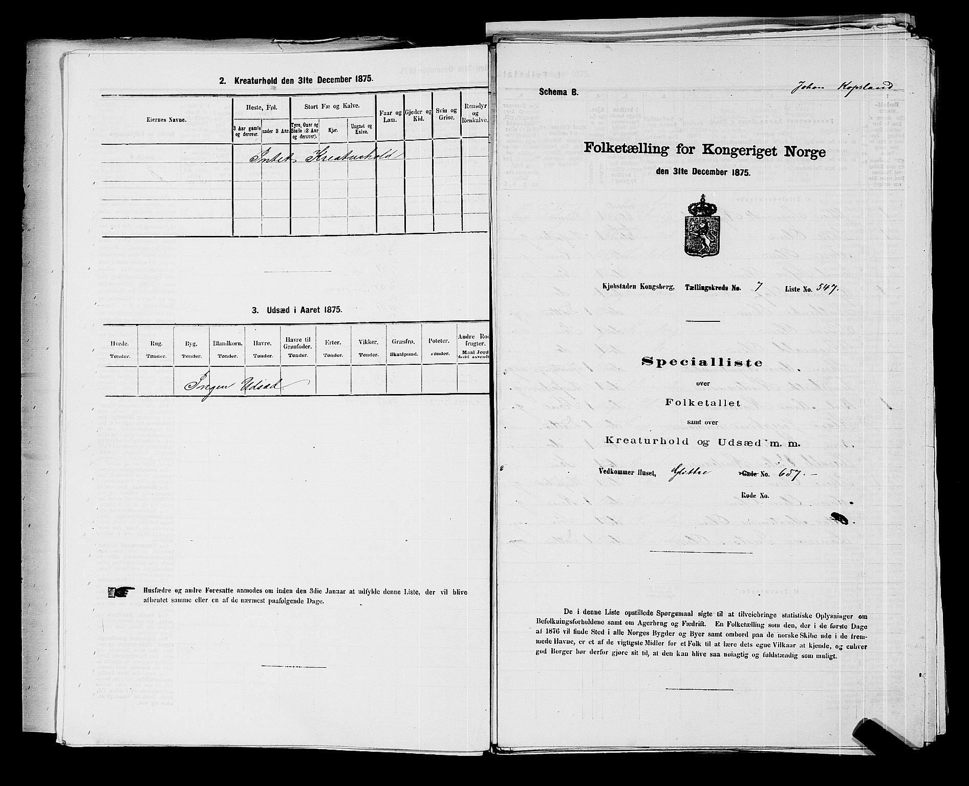 SAKO, Folketelling 1875 for 0604B Kongsberg prestegjeld, Kongsberg kjøpstad, 1875, s. 1210