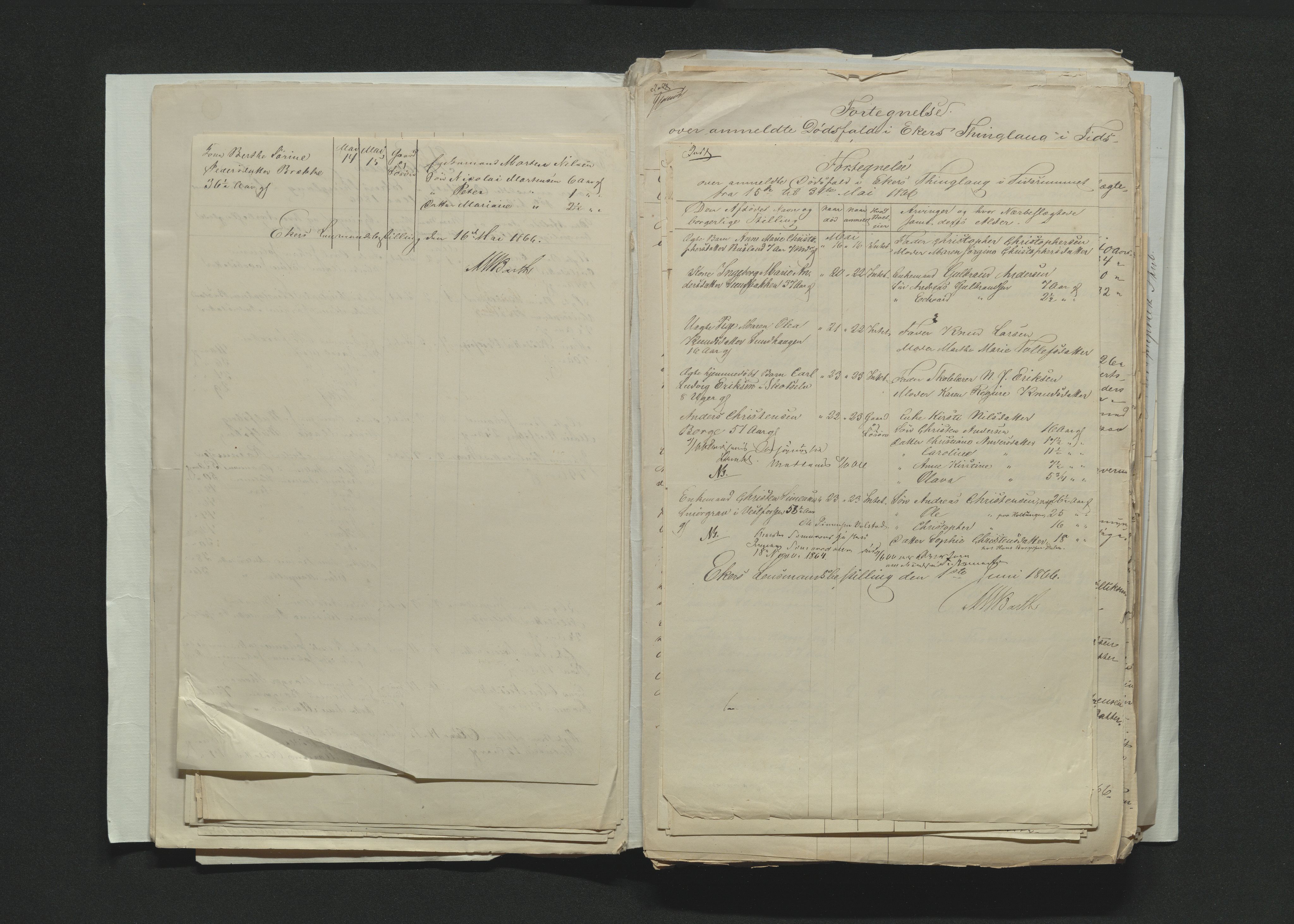 Eiker, Modum og Sigdal sorenskriveri, AV/SAKO-A-123/H/Ha/Hab/L0012: Dødsfallsmeldinger, 1866-1869, s. 25
