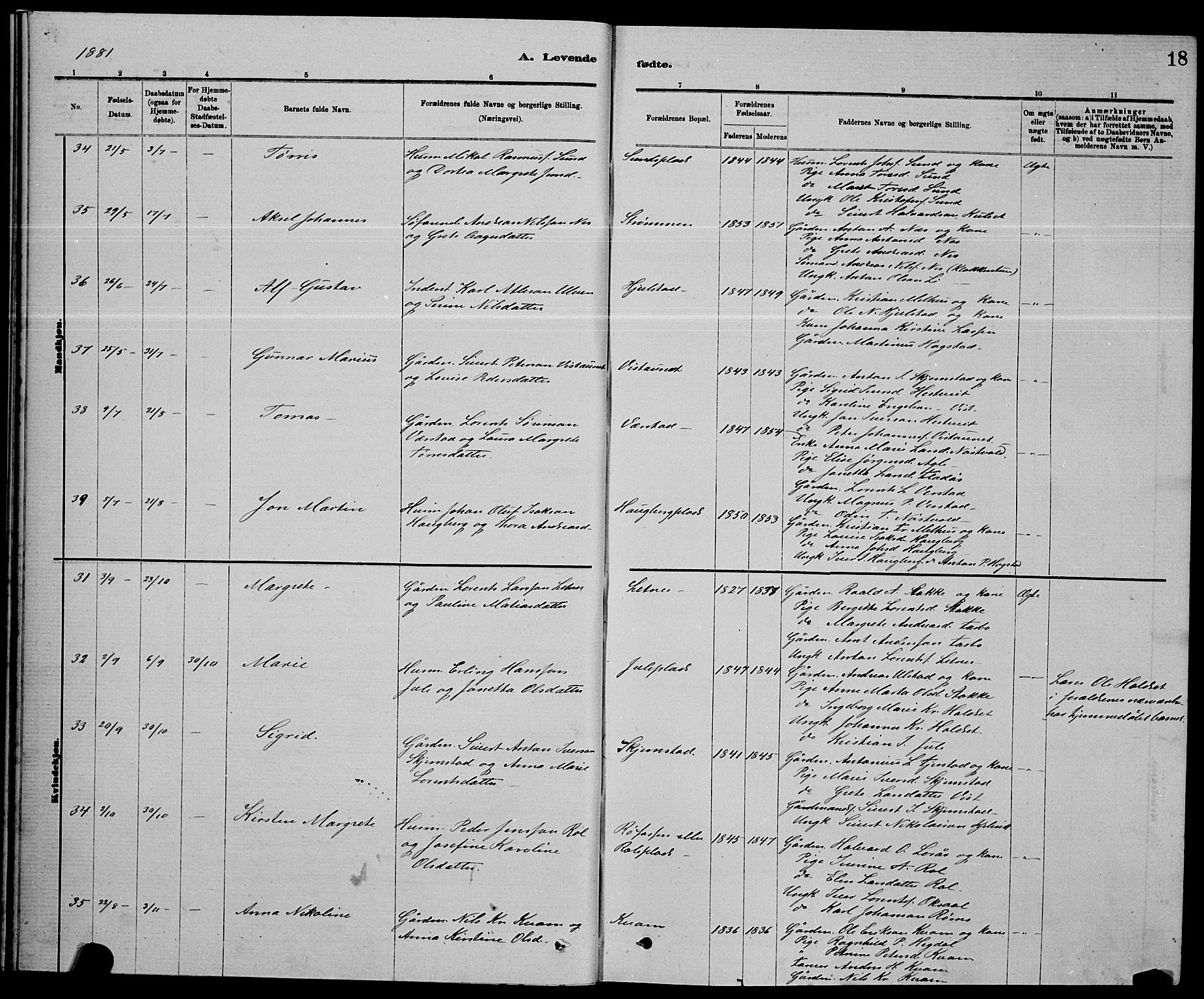 Ministerialprotokoller, klokkerbøker og fødselsregistre - Nord-Trøndelag, AV/SAT-A-1458/730/L0301: Klokkerbok nr. 730C04, 1880-1897, s. 18