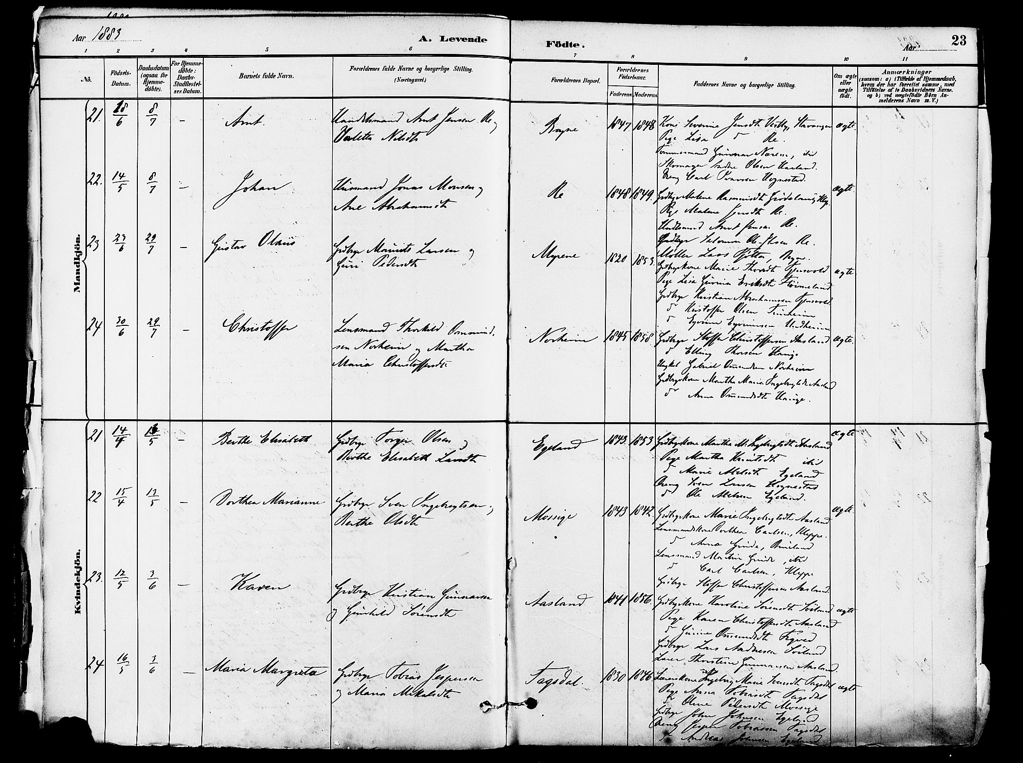 Lye sokneprestkontor, AV/SAST-A-101794/001/30BA/L0009: Ministerialbok nr. A 8, 1881-1892, s. 23