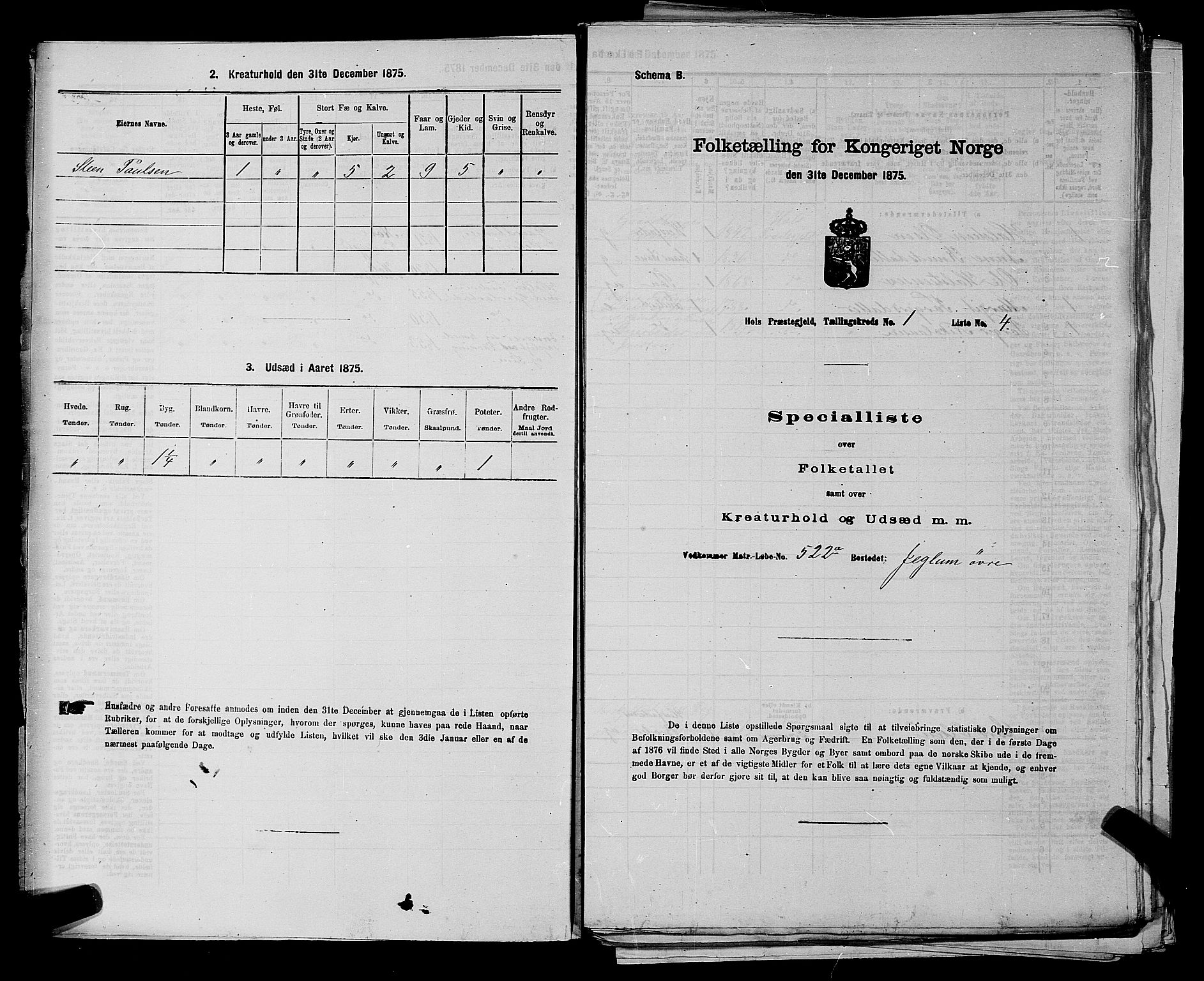 SAKO, Folketelling 1875 for 0620P Hol prestegjeld, 1875, s. 41