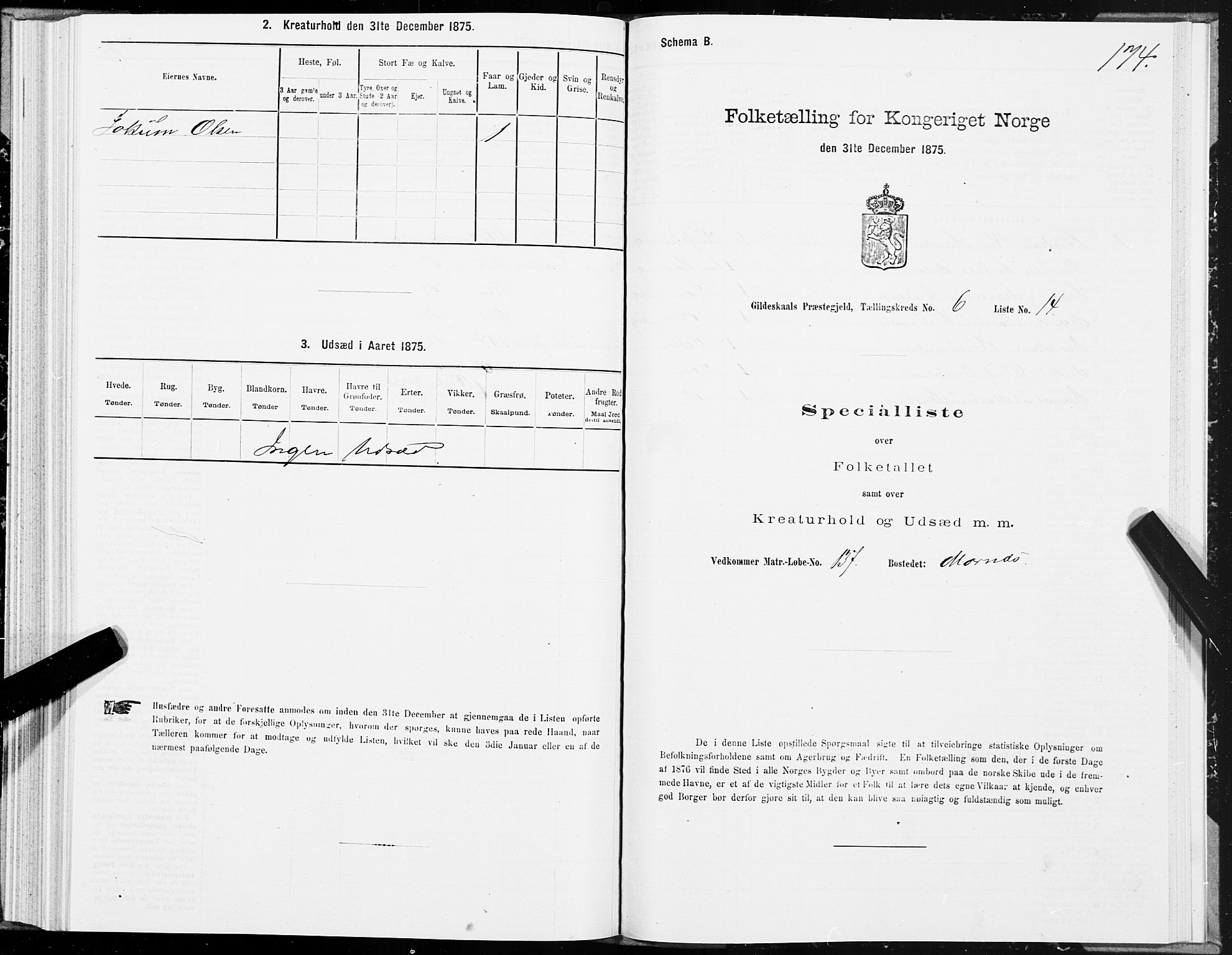 SAT, Folketelling 1875 for 1838P Gildeskål prestegjeld, 1875, s. 3174