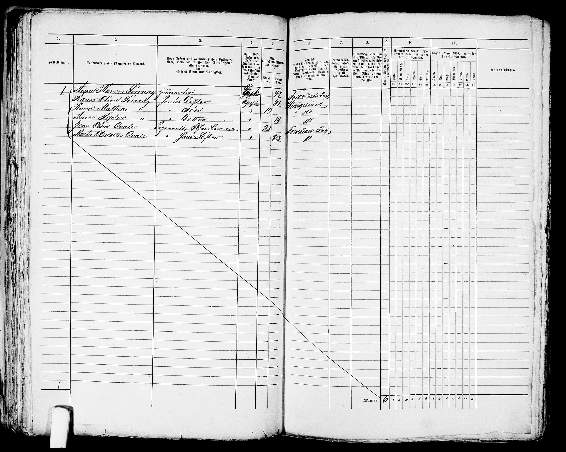 RA, Folketelling 1865 for 1106B Torvastad prestegjeld, Haugesund ladested, 1865, s. 252