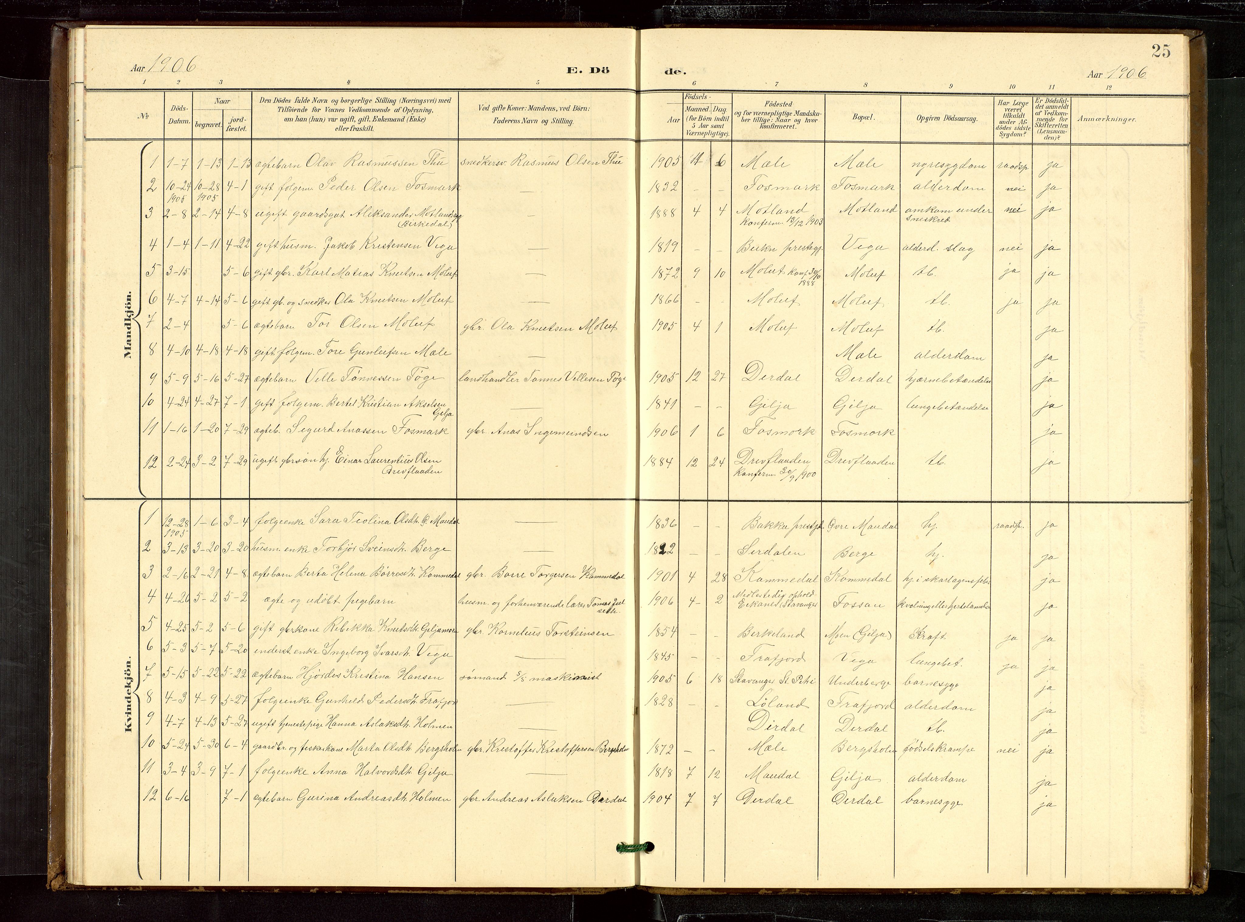 Høgsfjord sokneprestkontor, SAST/A-101624/H/Ha/Hab/L0010: Klokkerbok nr. B 10, 1900-1922, s. 25