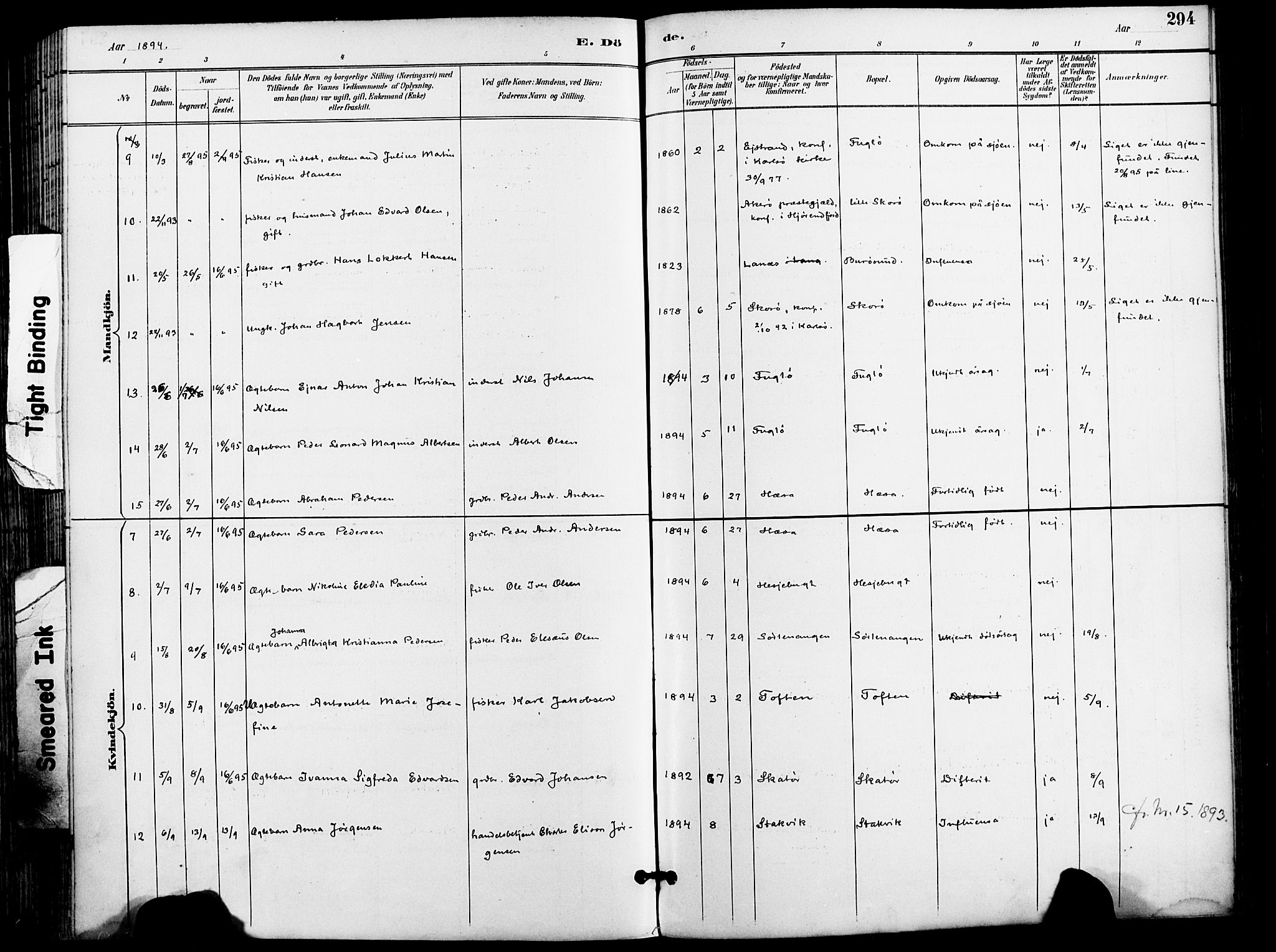 Karlsøy sokneprestembete, AV/SATØ-S-1299/H/Ha/Haa/L0007kirke: Ministerialbok nr. 7, 1891-1902, s. 294