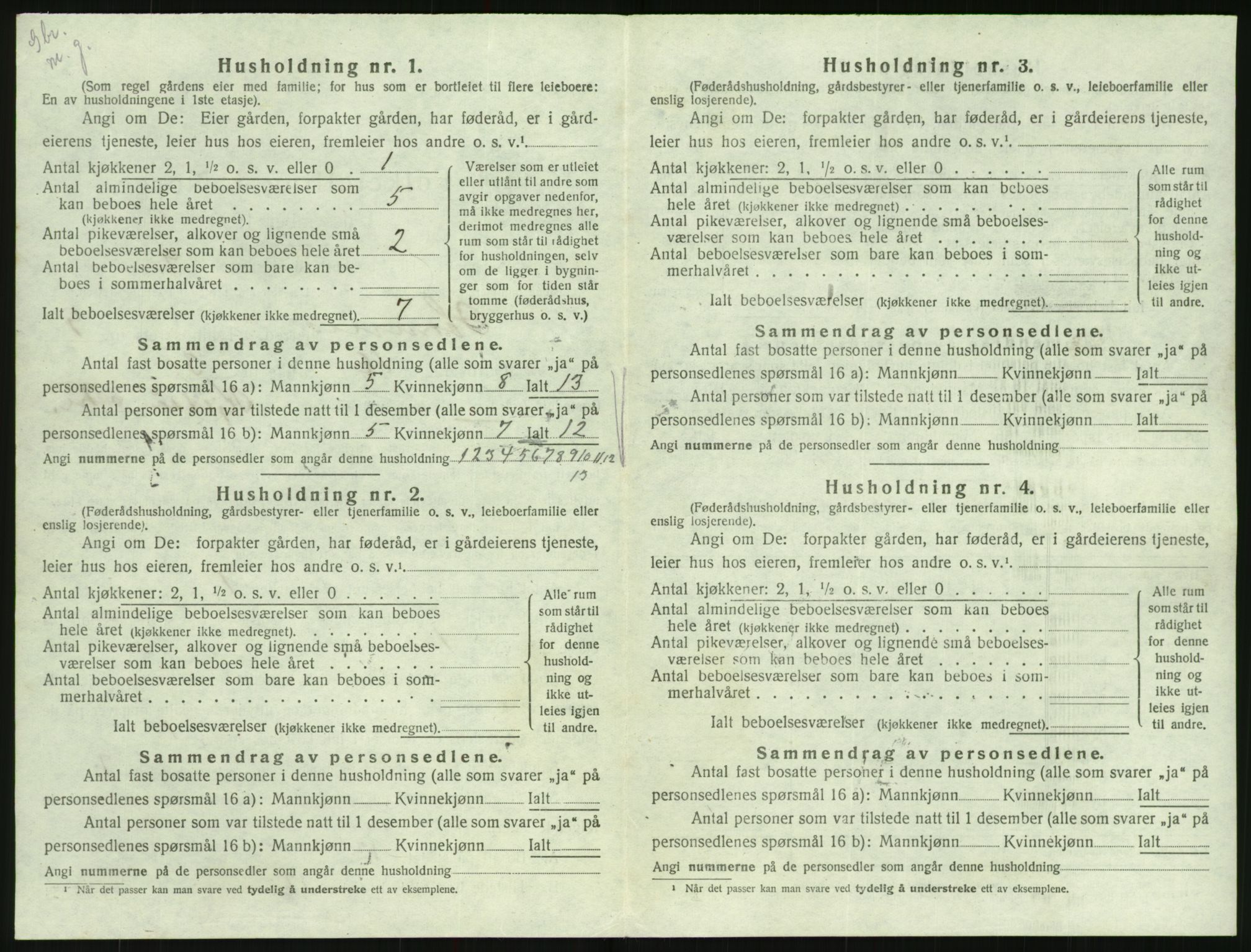 SAK, Folketelling 1920 for 0936 Hornnes herred, 1920, s. 368