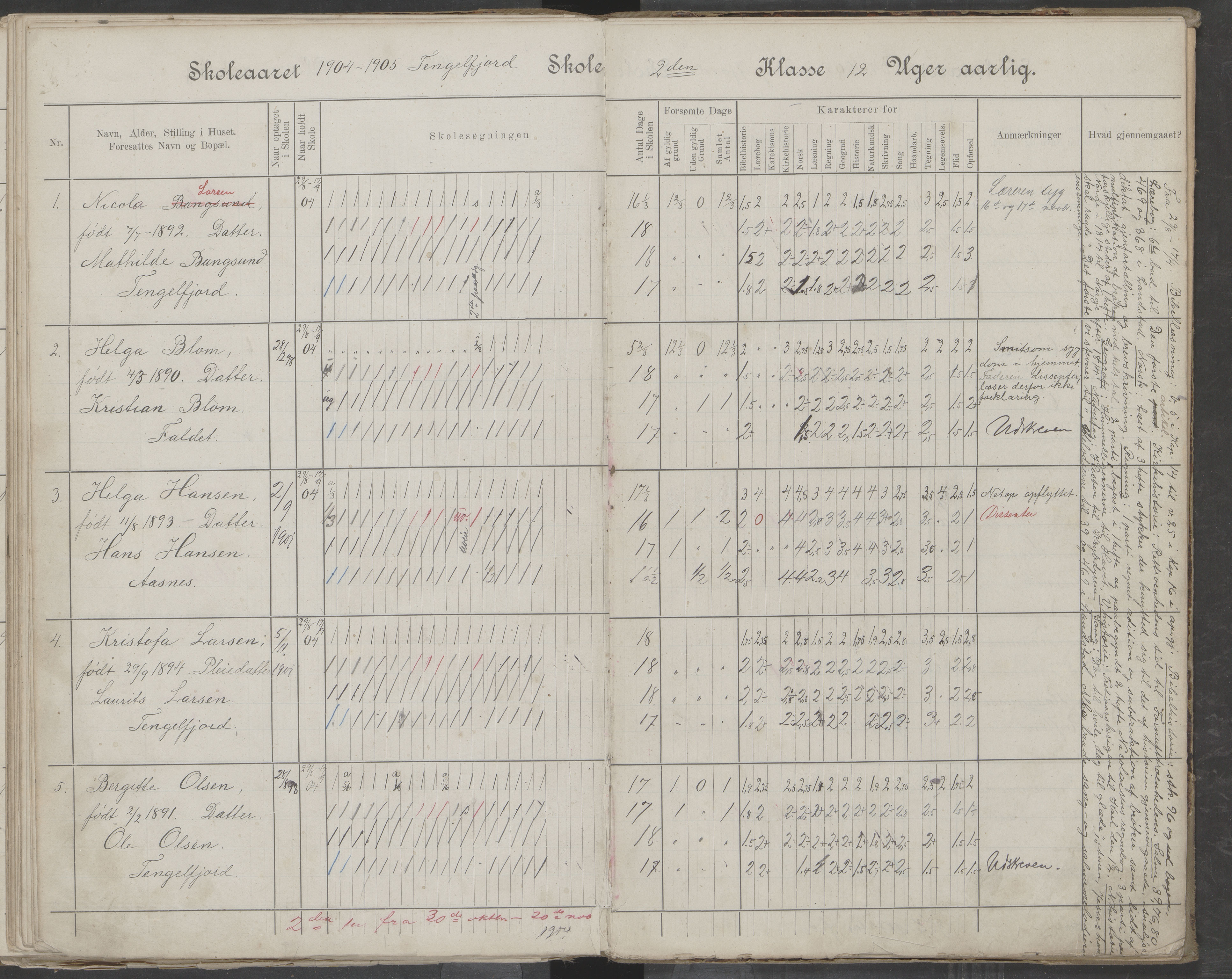 Hadsel kommune. Tengelfjord skolekrets, AIN/K-18660.510.04/G/L0001: Skoleprotokoll for Tengelfjord skole, 1899-1908