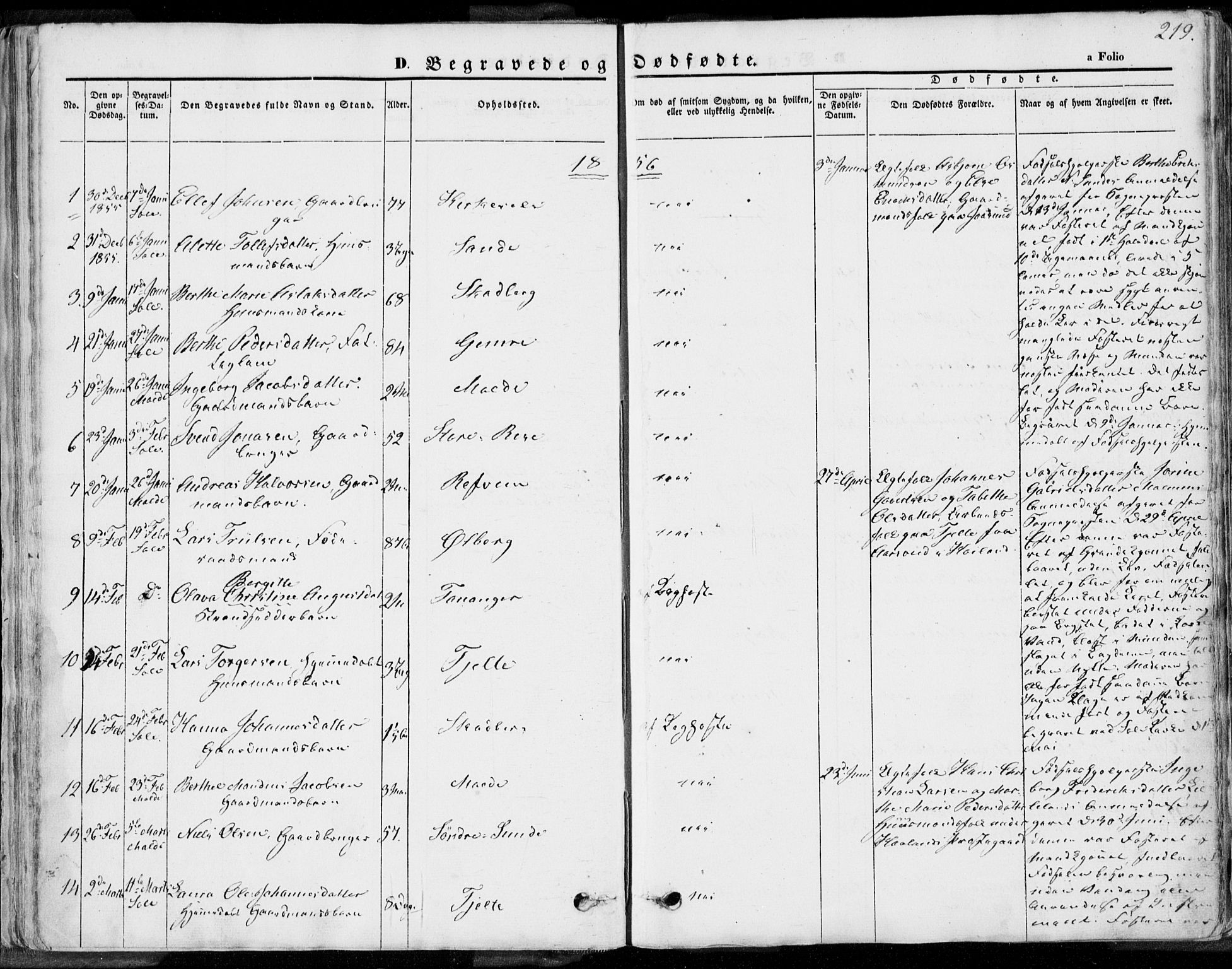 Håland sokneprestkontor, AV/SAST-A-101802/001/30BA/L0008: Ministerialbok nr. A 7.2, 1854-1870, s. 219