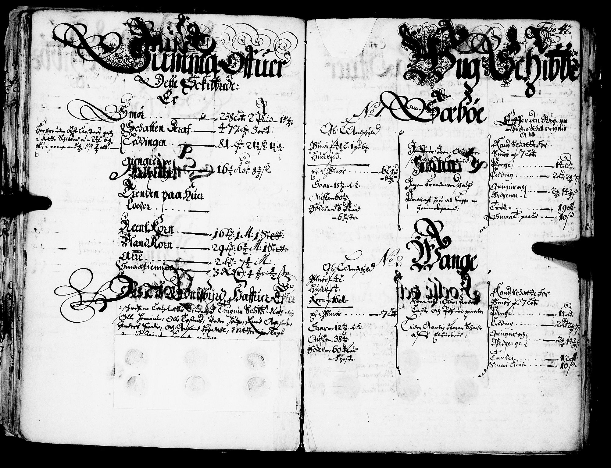 Rentekammeret inntil 1814, Realistisk ordnet avdeling, RA/EA-4070/N/Nb/Nba/L0042: Ytre Sogn fogderi, 1667, s. 41b-42a