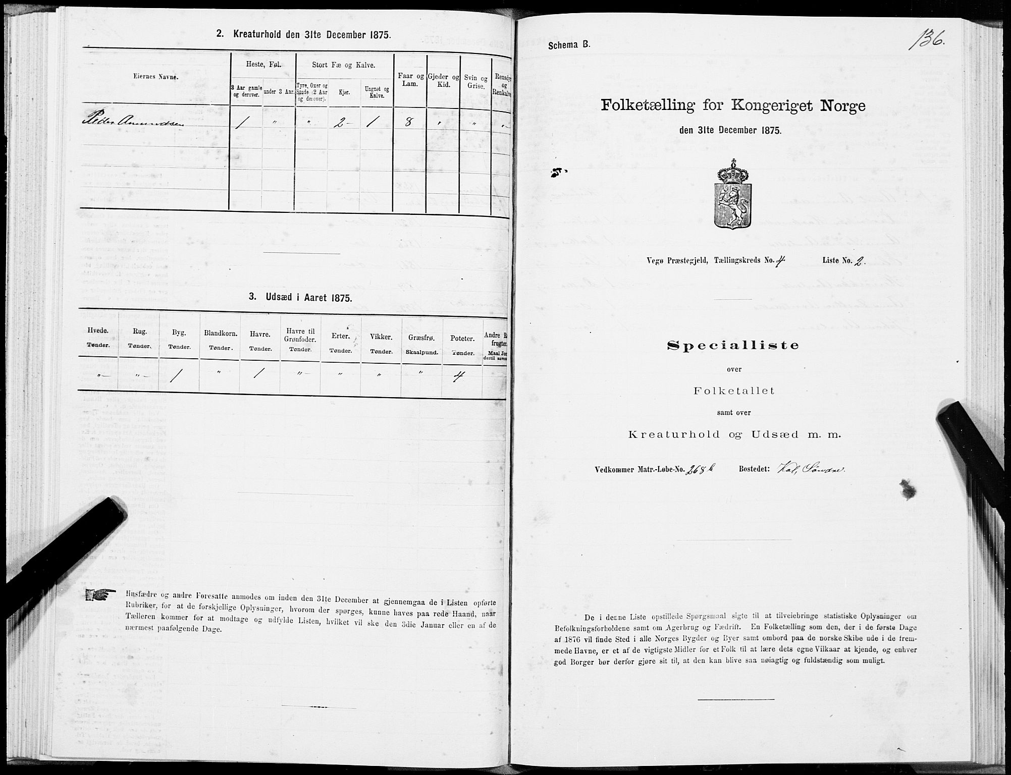 SAT, Folketelling 1875 for 1815P Vega prestegjeld, 1875, s. 2136