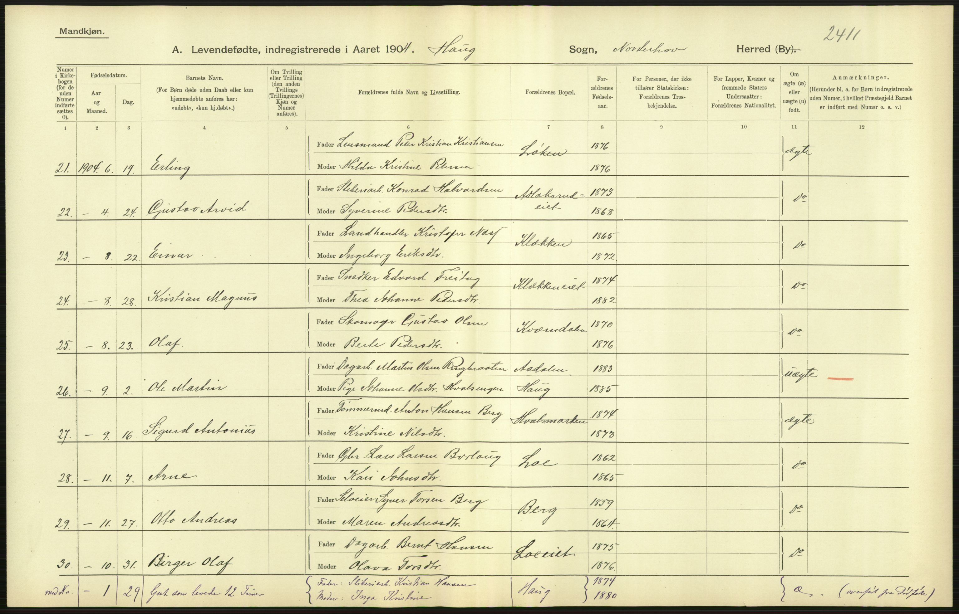 Statistisk sentralbyrå, Sosiodemografiske emner, Befolkning, AV/RA-S-2228/D/Df/Dfa/Dfab/L0007: Buskerud amt: Fødte, gifte, døde, 1904, s. 25