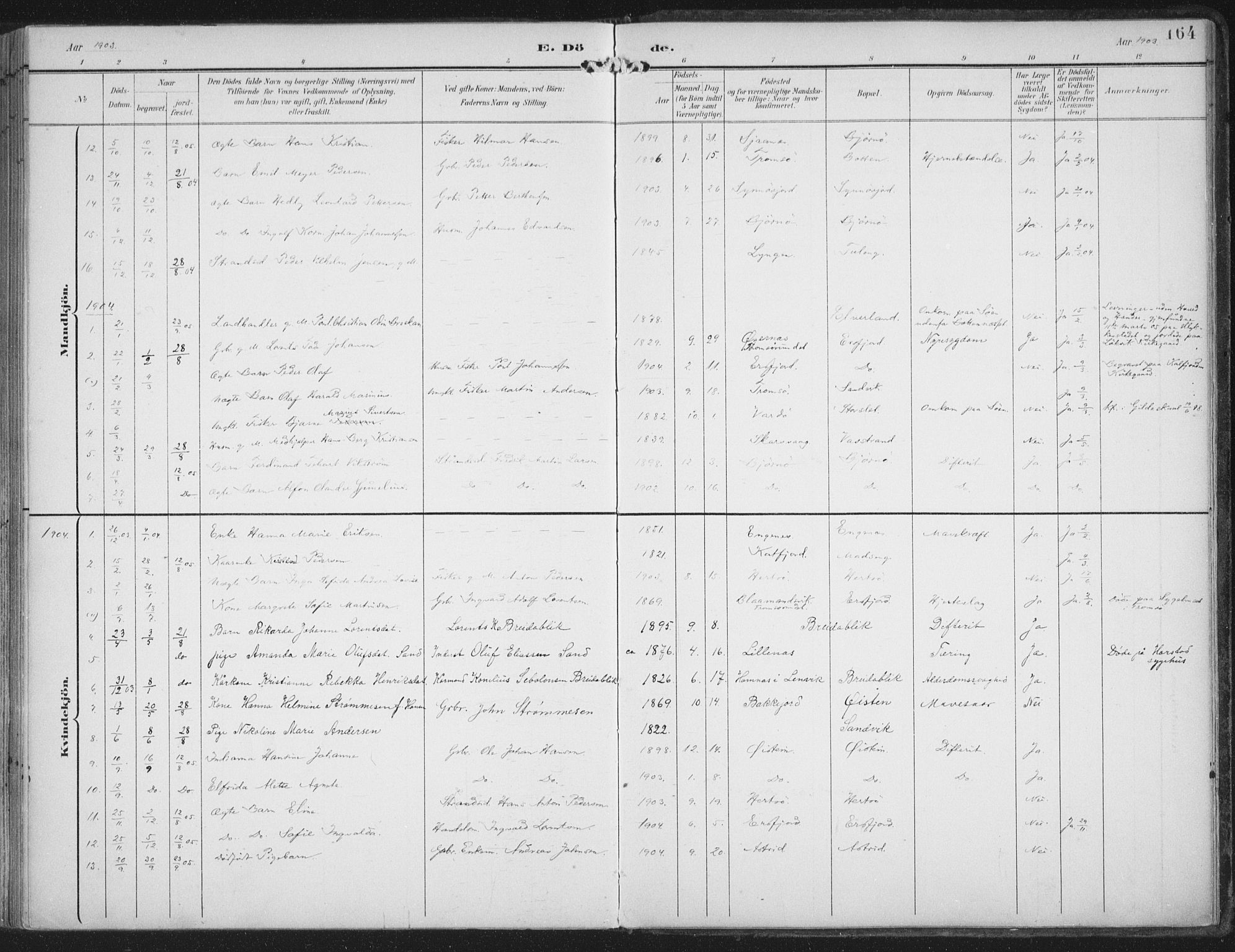 Lenvik sokneprestembete, AV/SATØ-S-1310/H/Ha/Haa/L0015kirke: Ministerialbok nr. 15, 1896-1915, s. 164