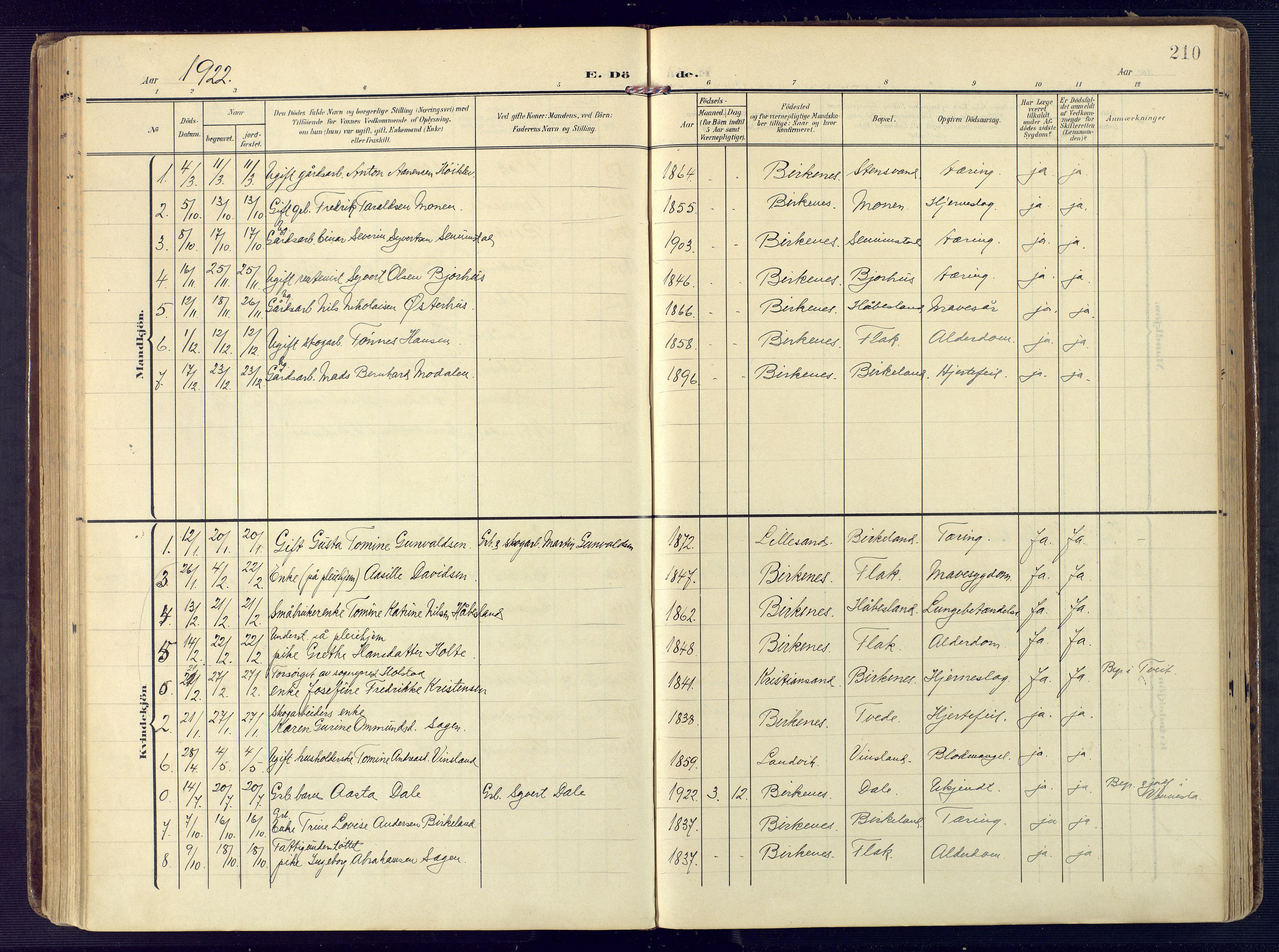 Birkenes sokneprestkontor, AV/SAK-1111-0004/F/Fa/L0006: Ministerialbok nr. A 6, 1908-1932, s. 210