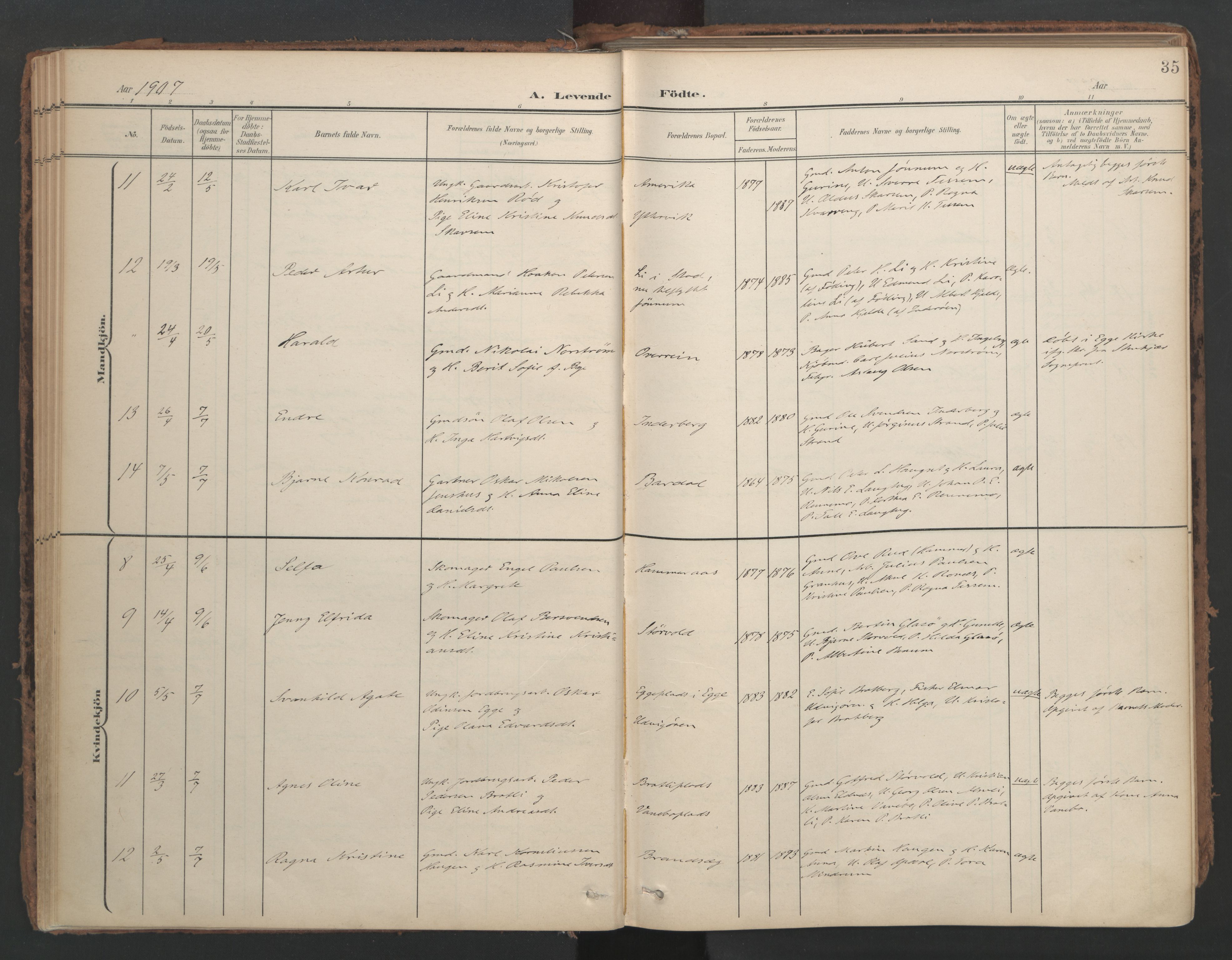 Ministerialprotokoller, klokkerbøker og fødselsregistre - Nord-Trøndelag, AV/SAT-A-1458/741/L0397: Ministerialbok nr. 741A11, 1901-1911, s. 35