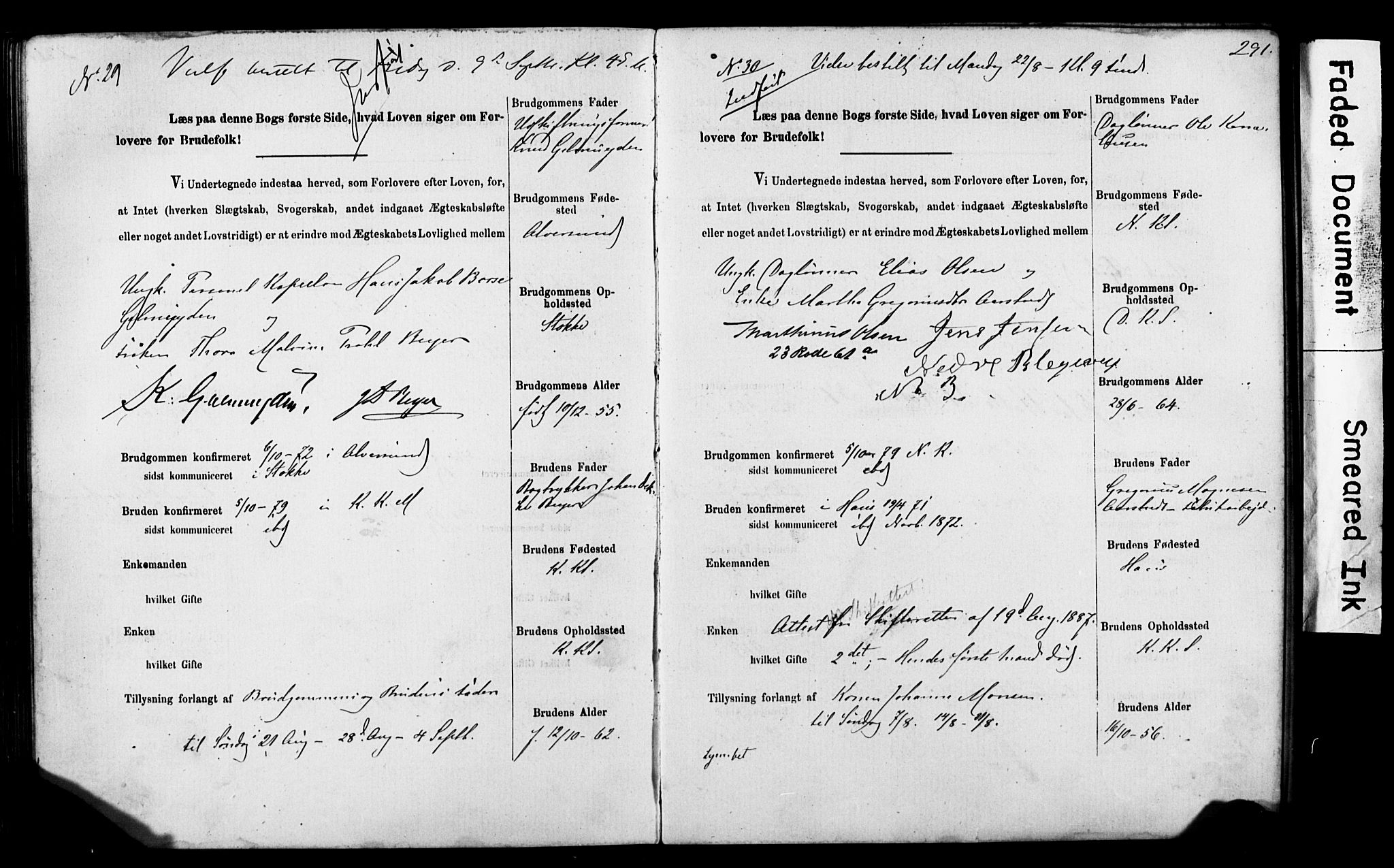 Korskirken sokneprestembete, AV/SAB-A-76101: Forlovererklæringer nr. II.5.5, 1878-1889, s. 291