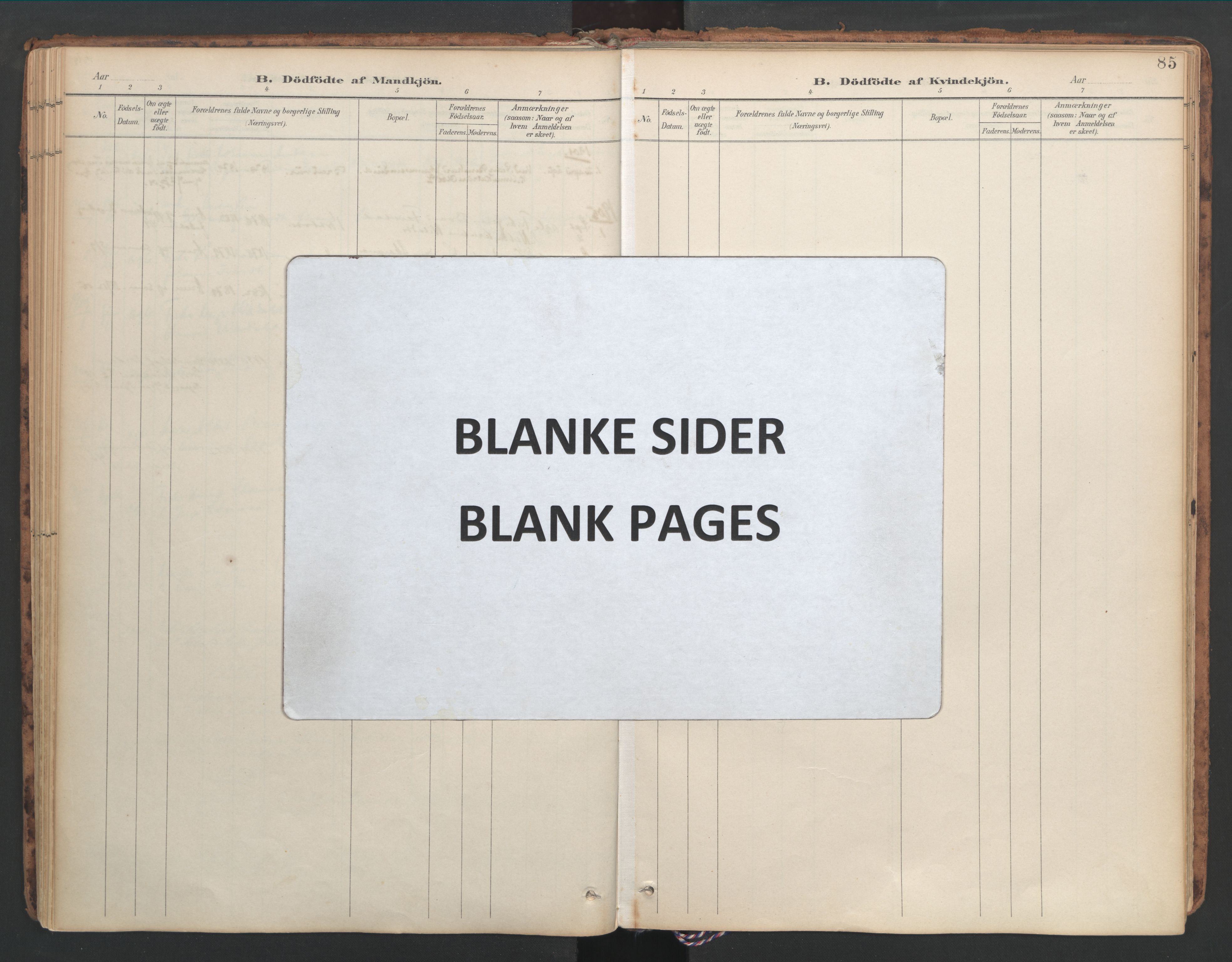 Ministerialprotokoller, klokkerbøker og fødselsregistre - Møre og Romsdal, AV/SAT-A-1454/582/L0948: Ministerialbok nr. 582A02, 1901-1922, s. 85
