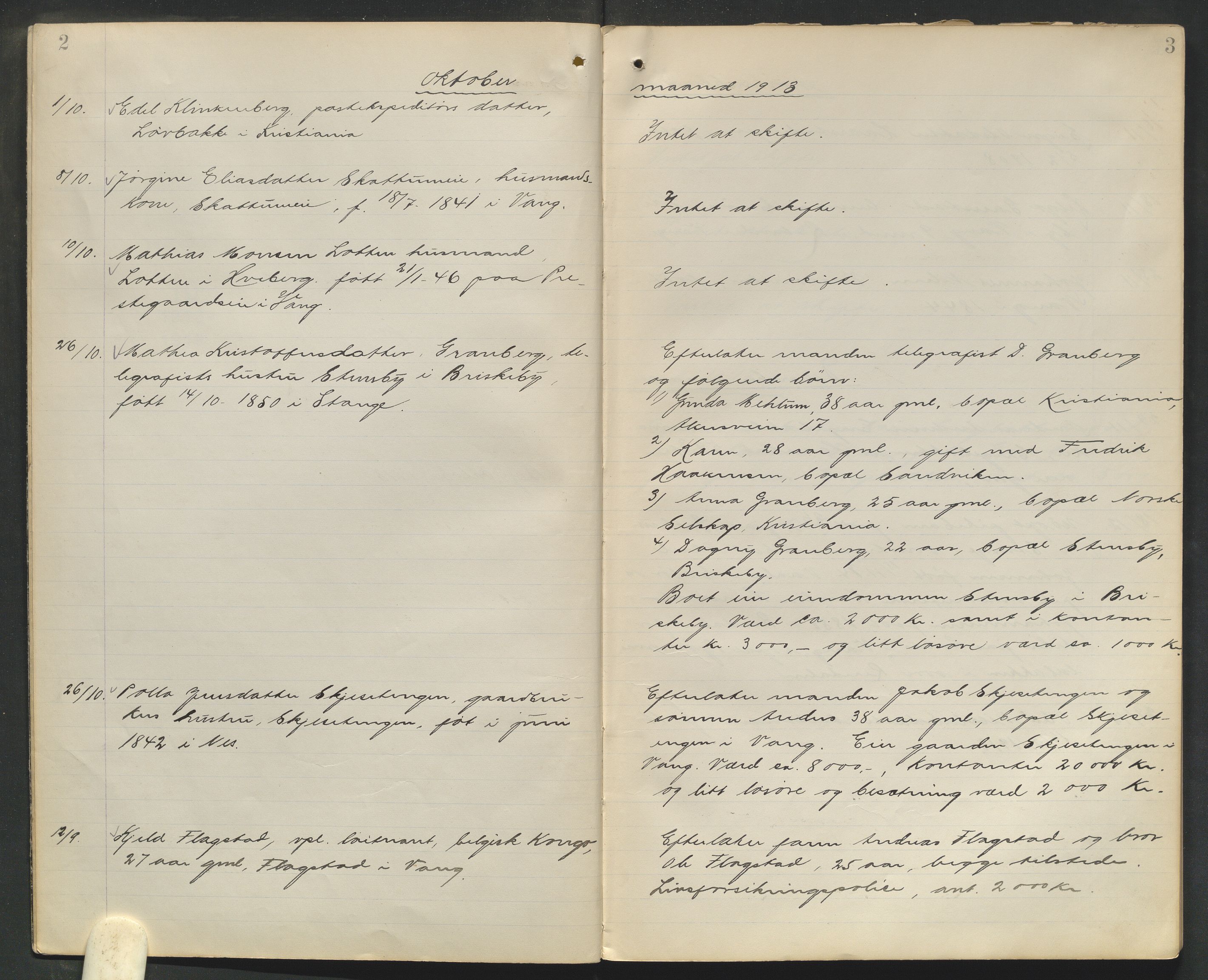 Nord-Hedmark sorenskriveri, AV/SAH-TING-012/J/Ji/L0010: Dødsfallsprotokoll - Vang, 1913-1916, s. 2-3