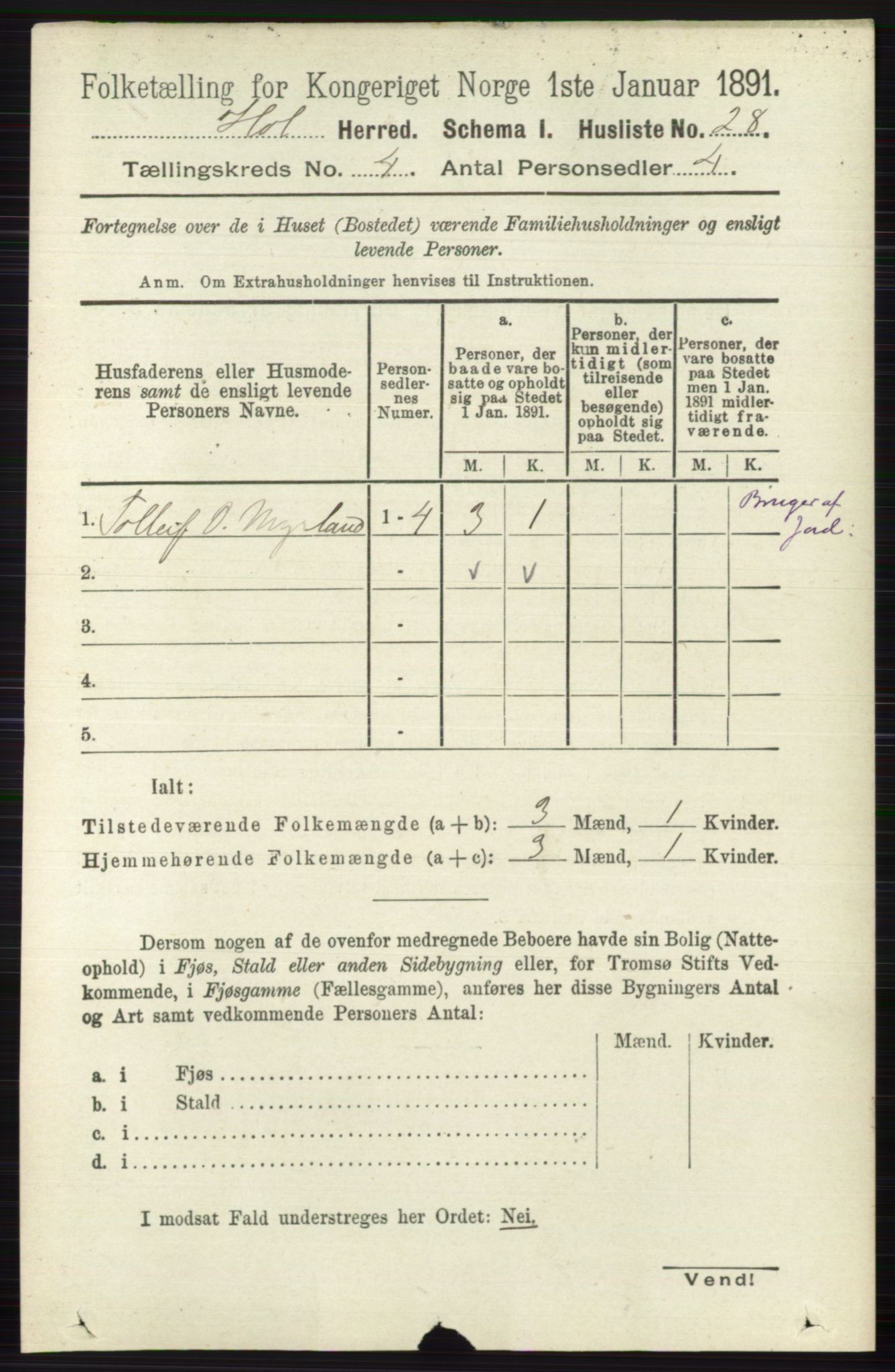 RA, Folketelling 1891 for 0620 Hol herred, 1891, s. 1253