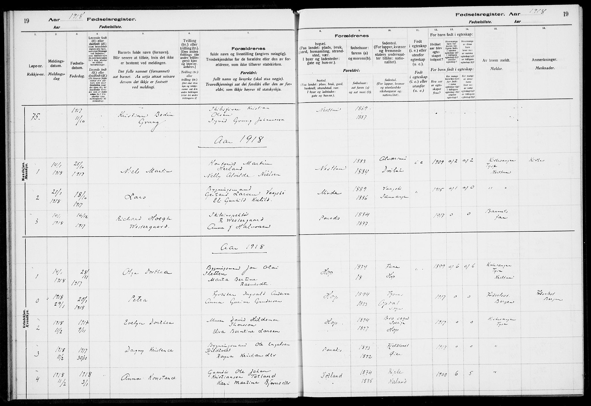 Birkeland Sokneprestembete, SAB/A-74601/I/Id/L00A1: Fødselsregister nr. A 1, 1916-1926, s. 19