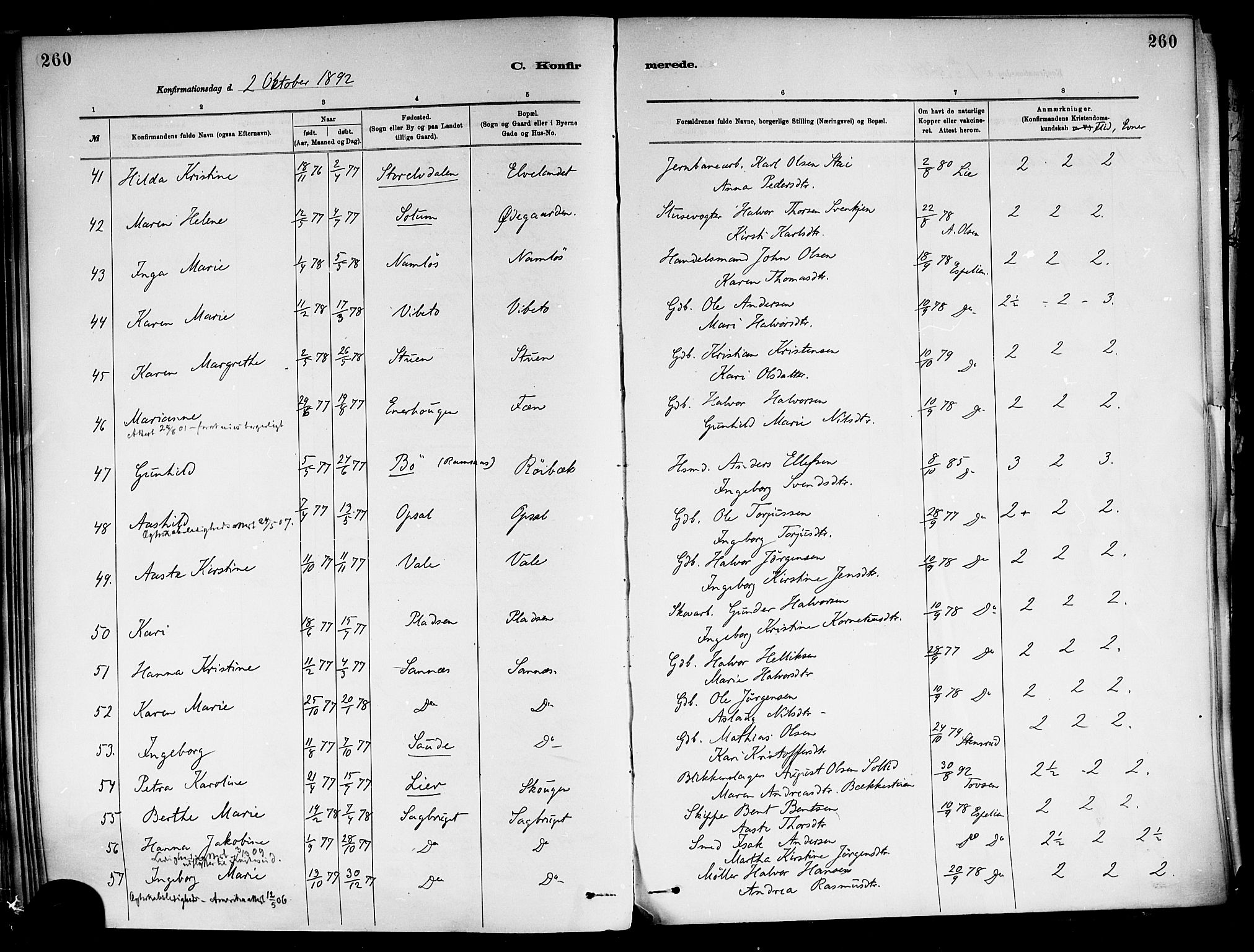 Holla kirkebøker, AV/SAKO-A-272/F/Fa/L0008: Ministerialbok nr. 8, 1882-1897, s. 260