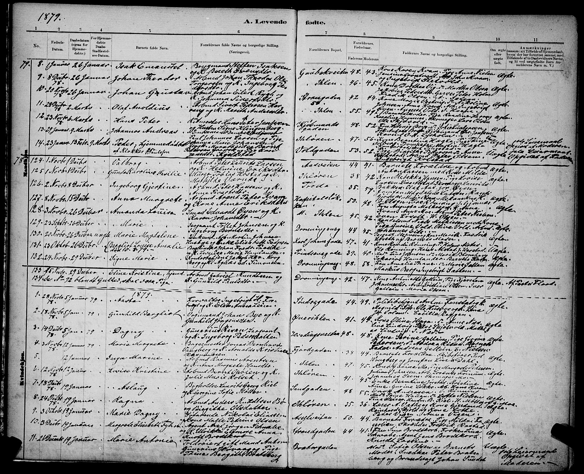 Ministerialprotokoller, klokkerbøker og fødselsregistre - Sør-Trøndelag, AV/SAT-A-1456/602/L0143: Klokkerbok nr. 602C11, 1878-1902