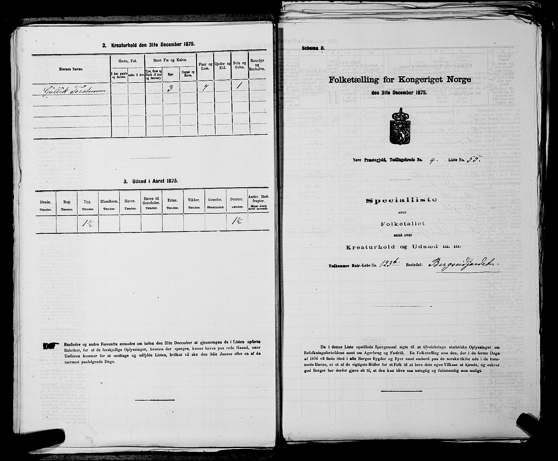SAKO, Folketelling 1875 for 0633P Nore prestegjeld, 1875, s. 510